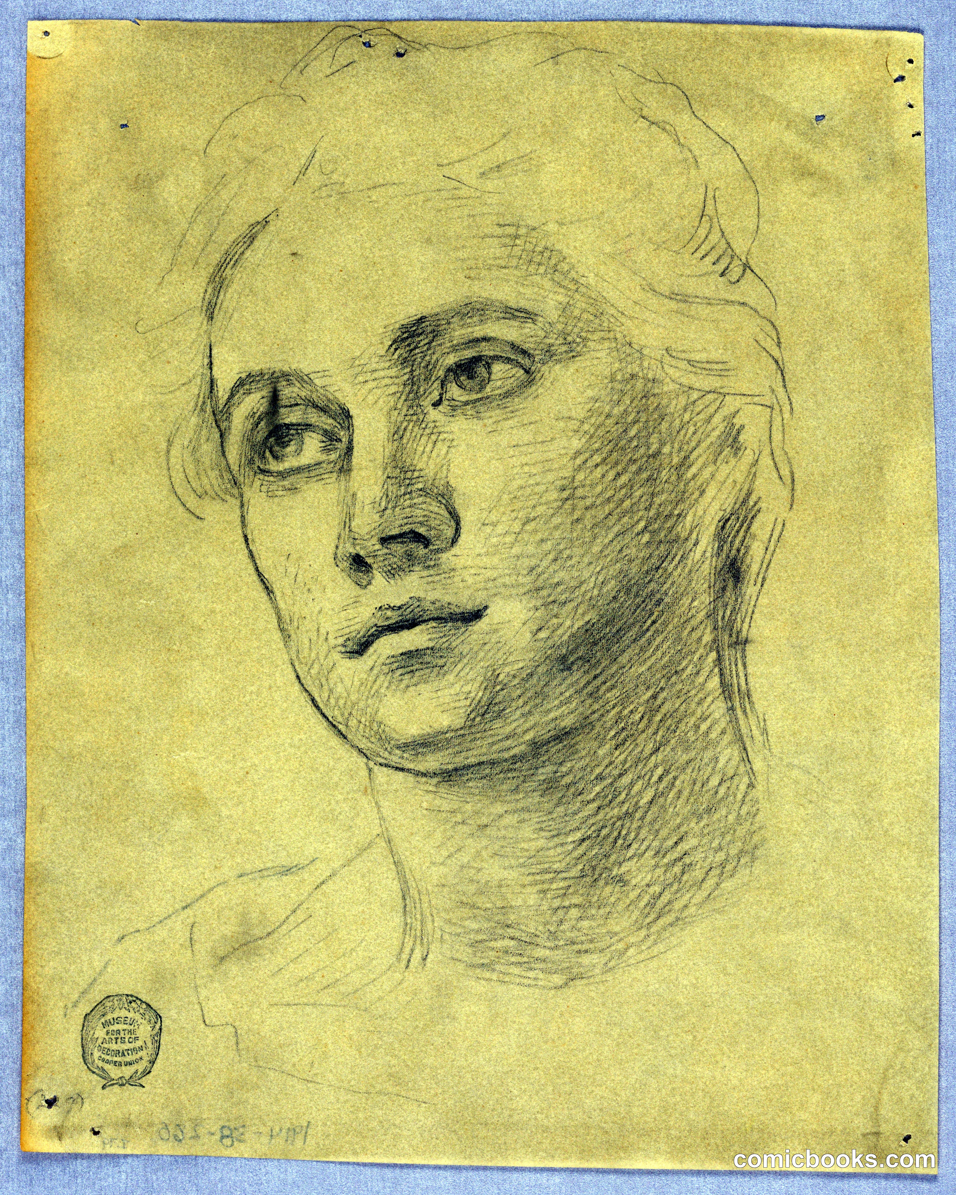 Study of a Woman's Head