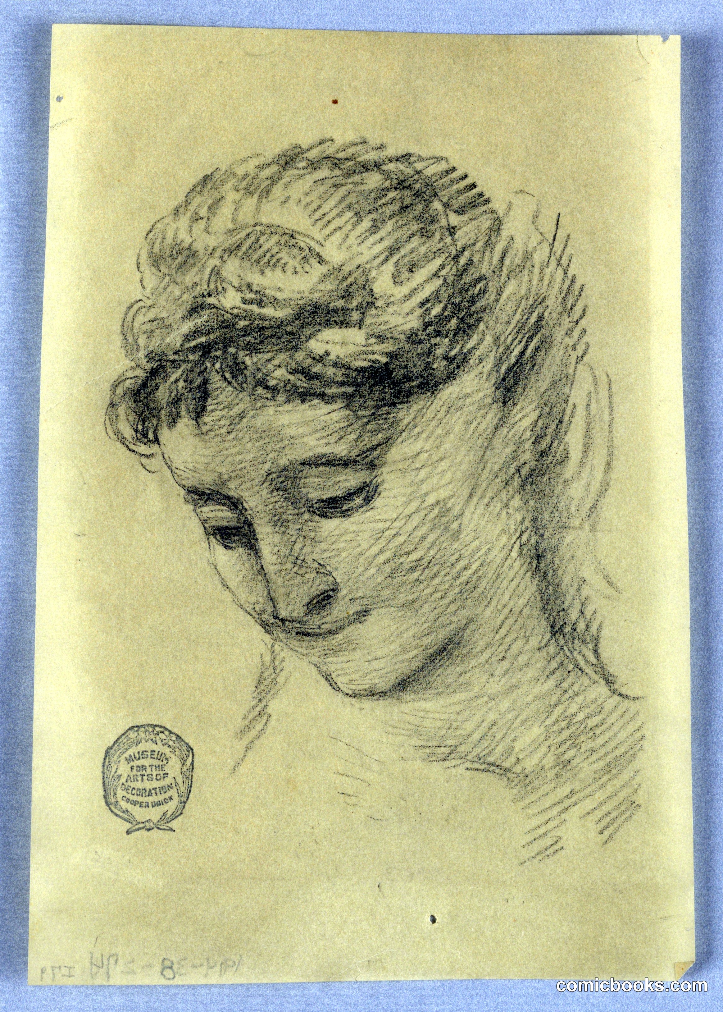 Study of a Woman's Head