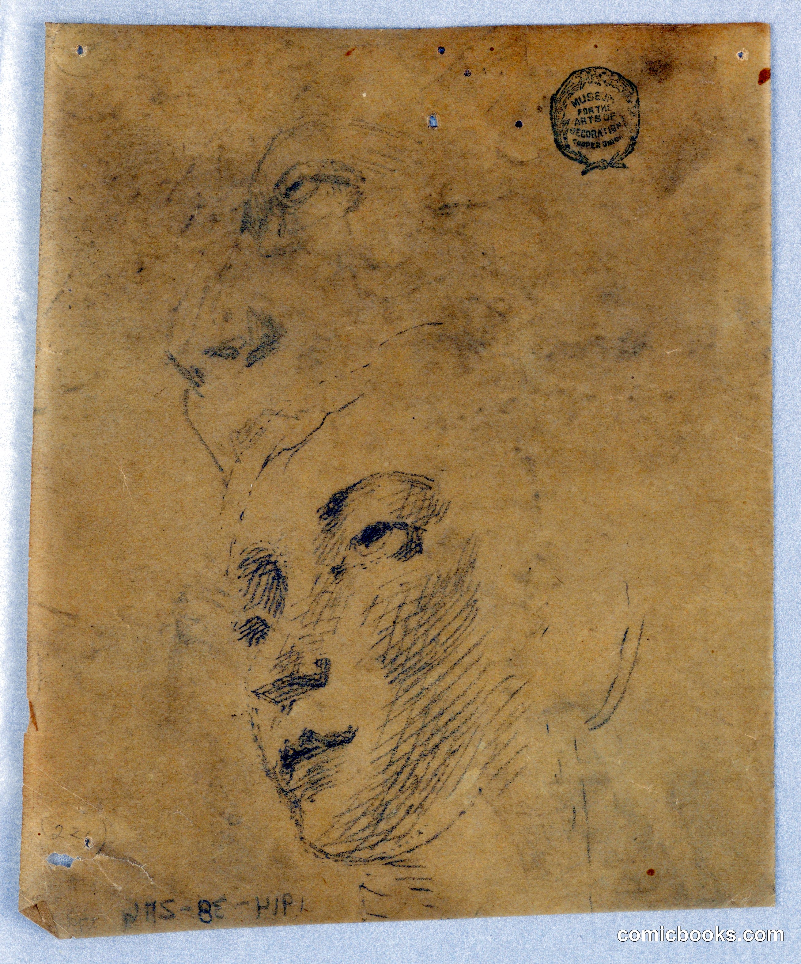 Study of a Woman's Head