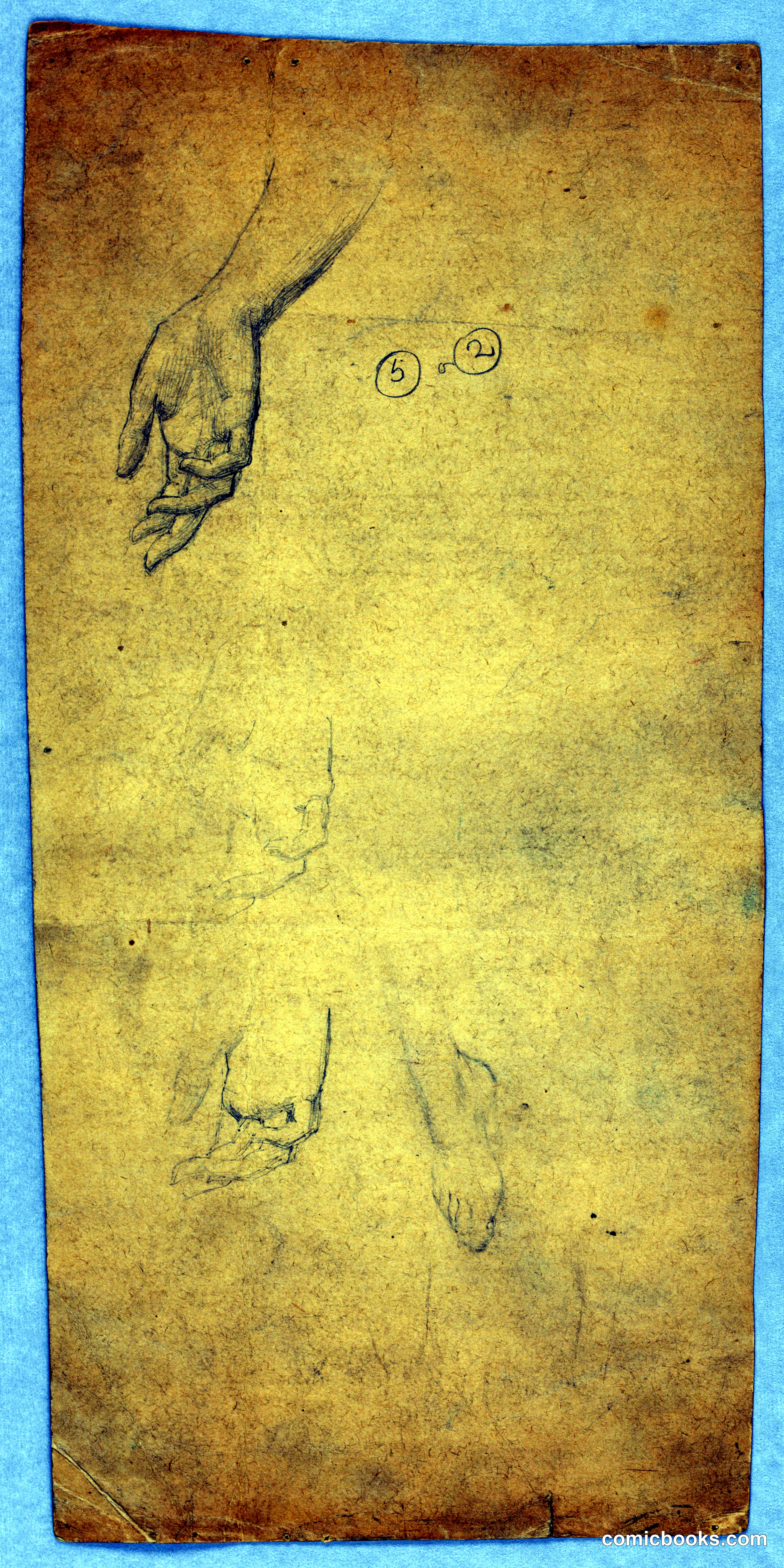 Studies of Hands and a Foot