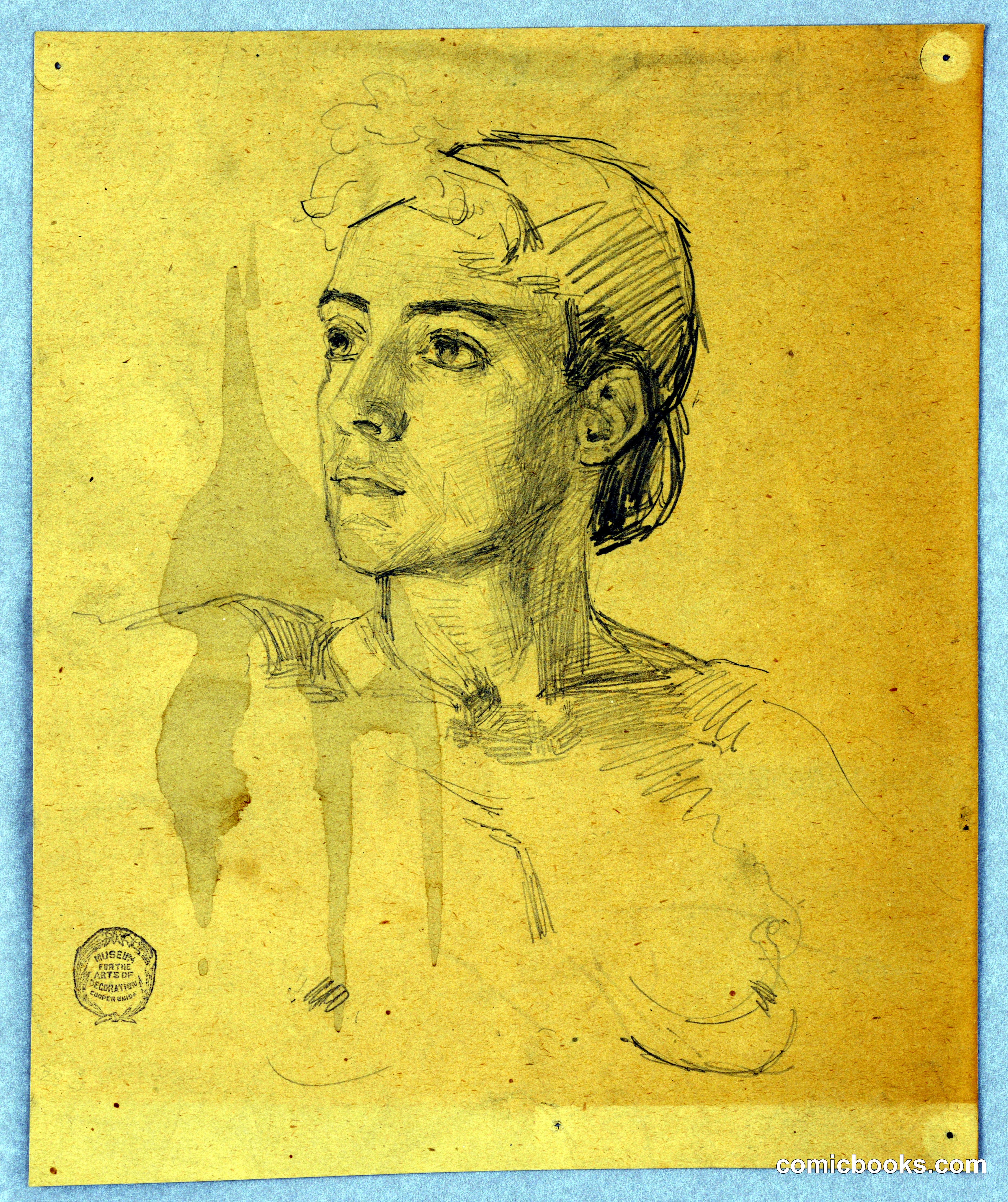 Study of a Female Bust
