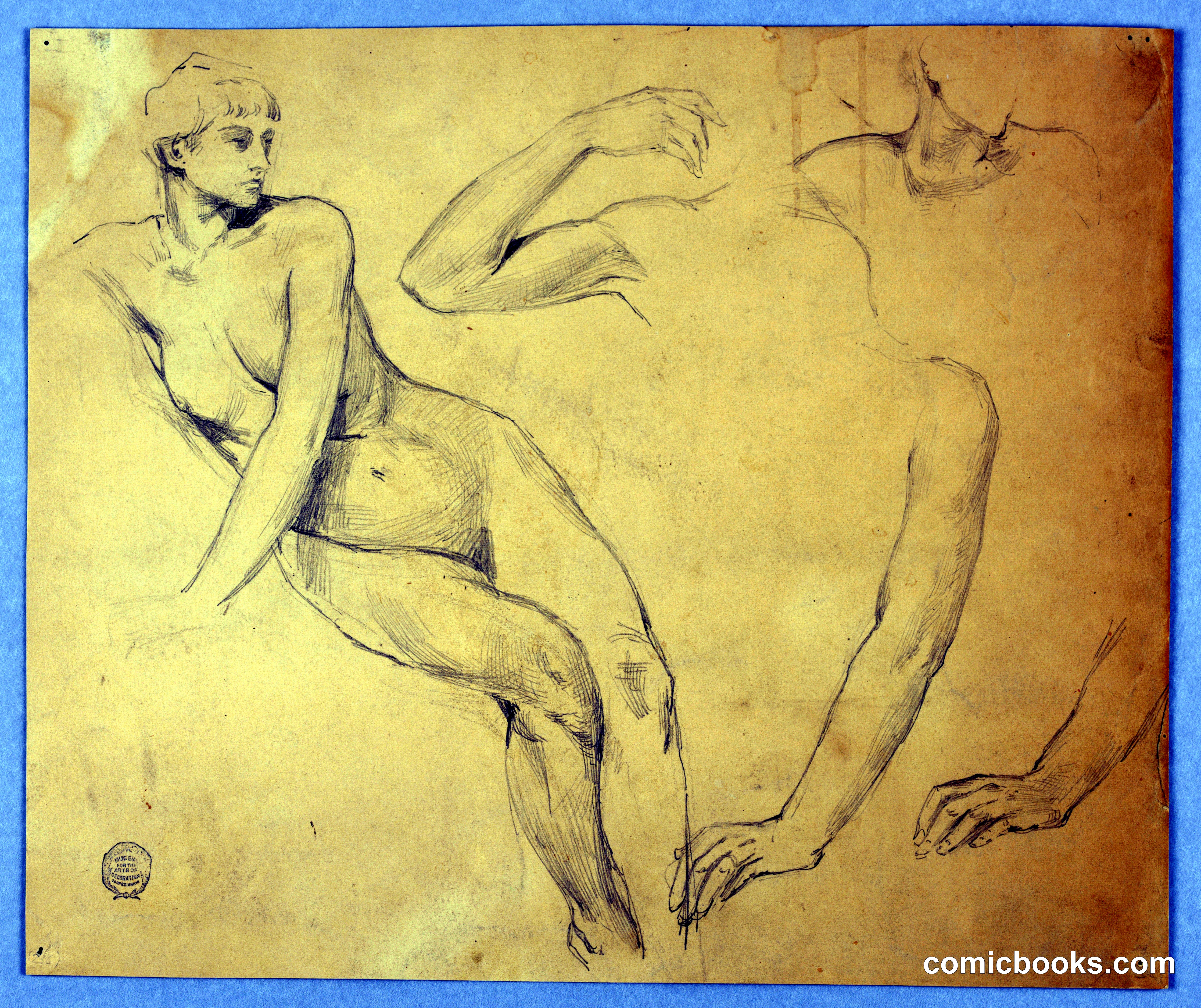 Figure Studies: Female Nude and Anatomical Details