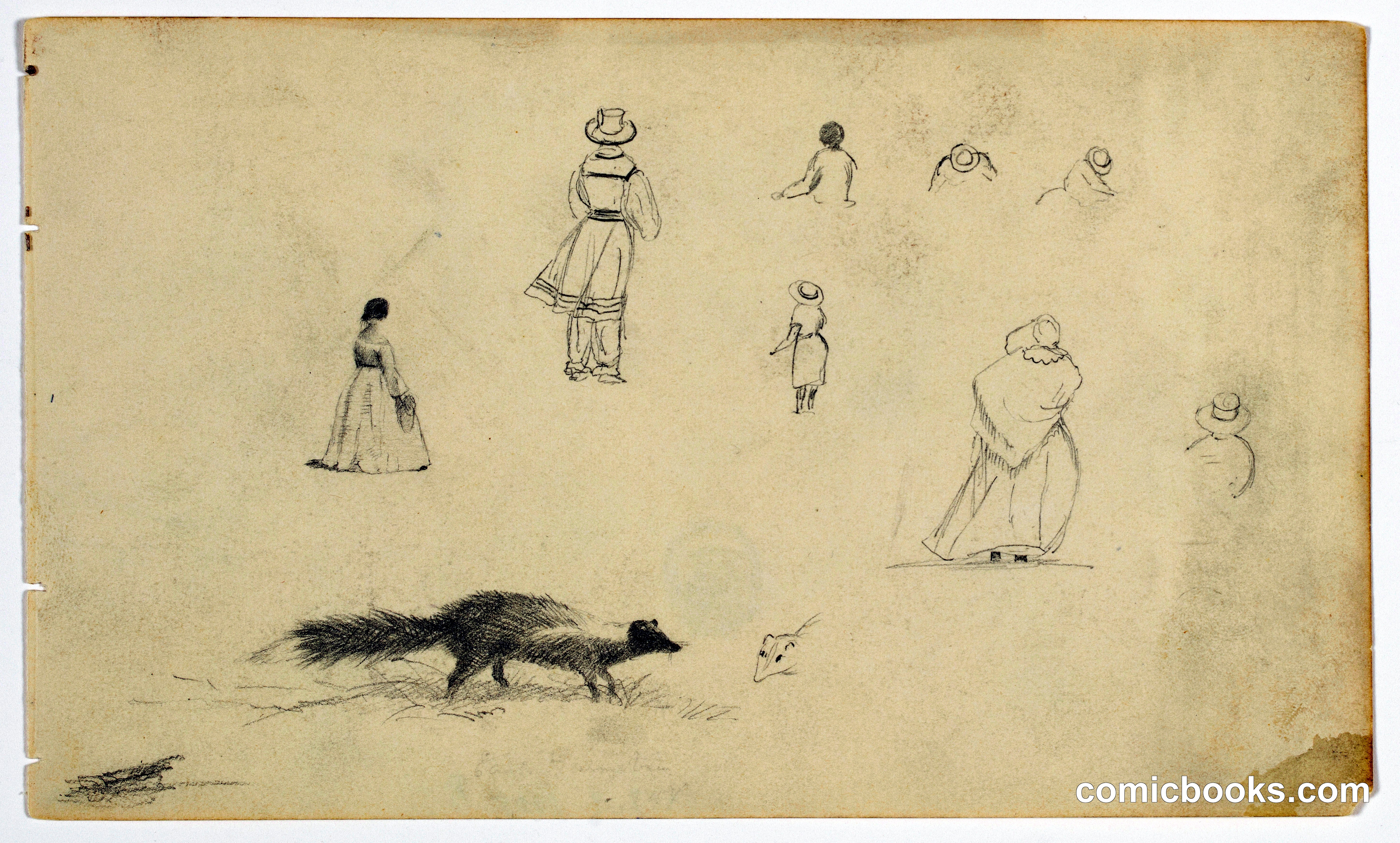 Figure Sketches with a Skunk, East Hampton, New York