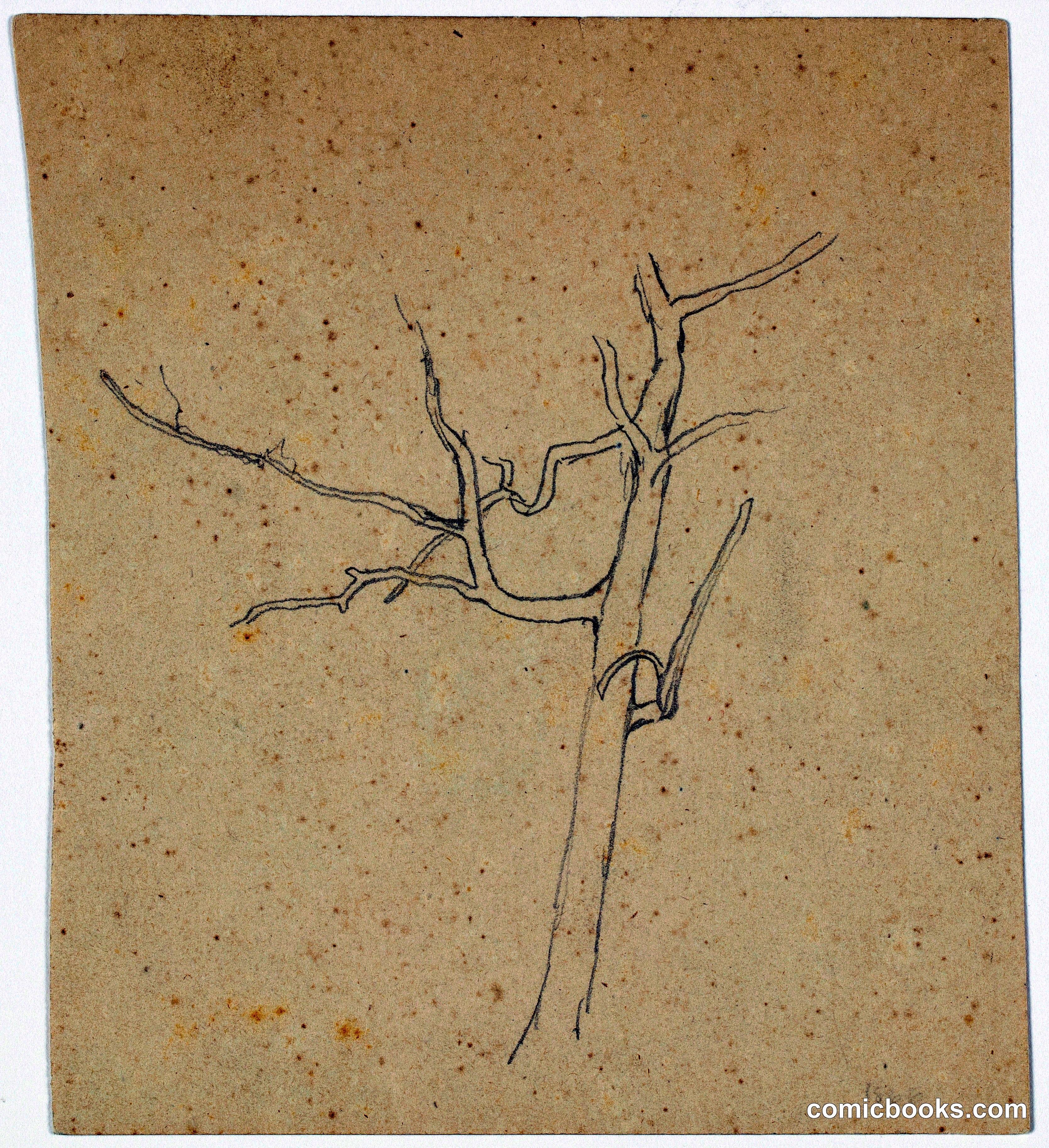 Leafless Tree