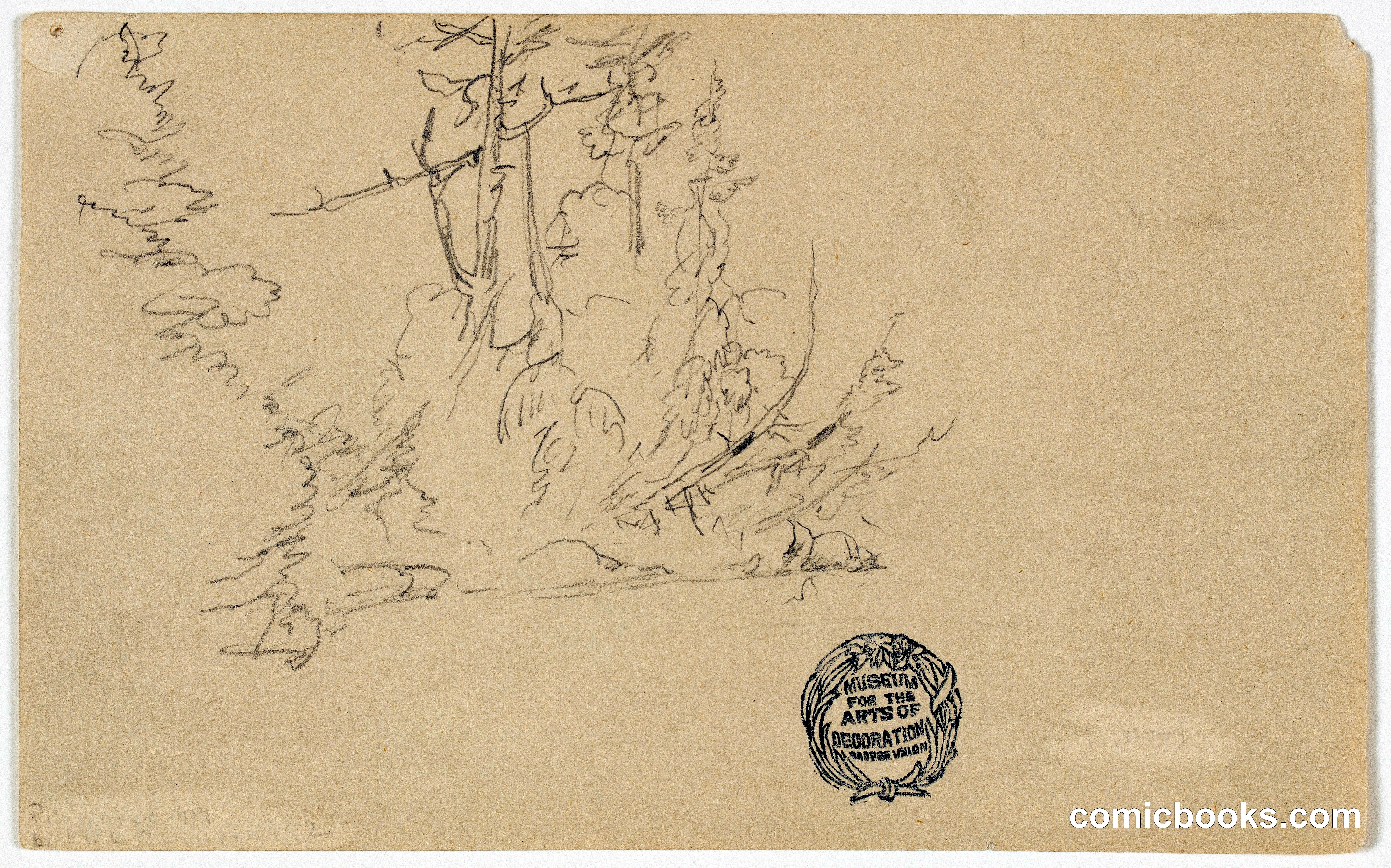 Wooded Bank, Lake Millinocket, Maine