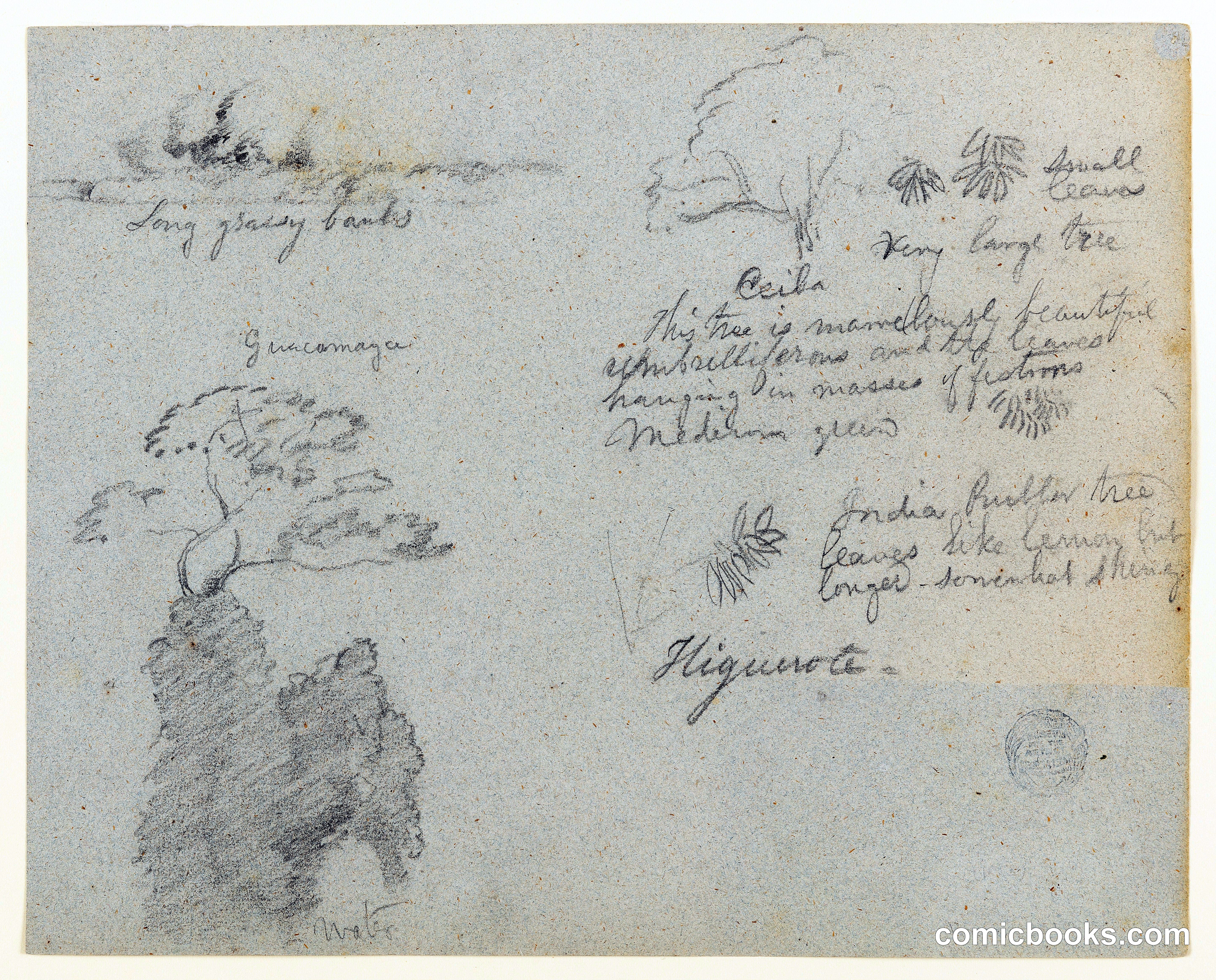 Sketches along the Río Magdalena, Colombia