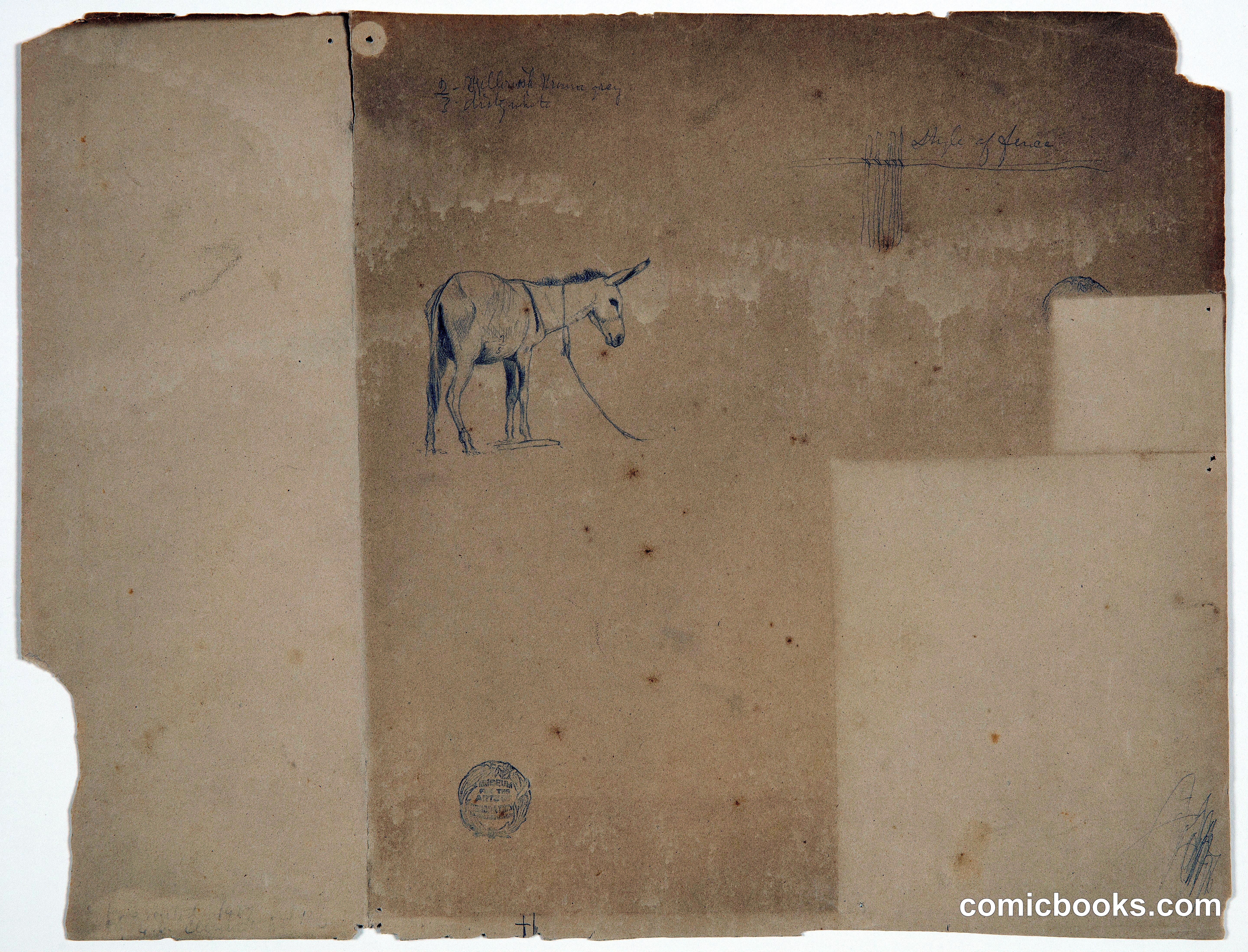 Study of a Tethered Donkey