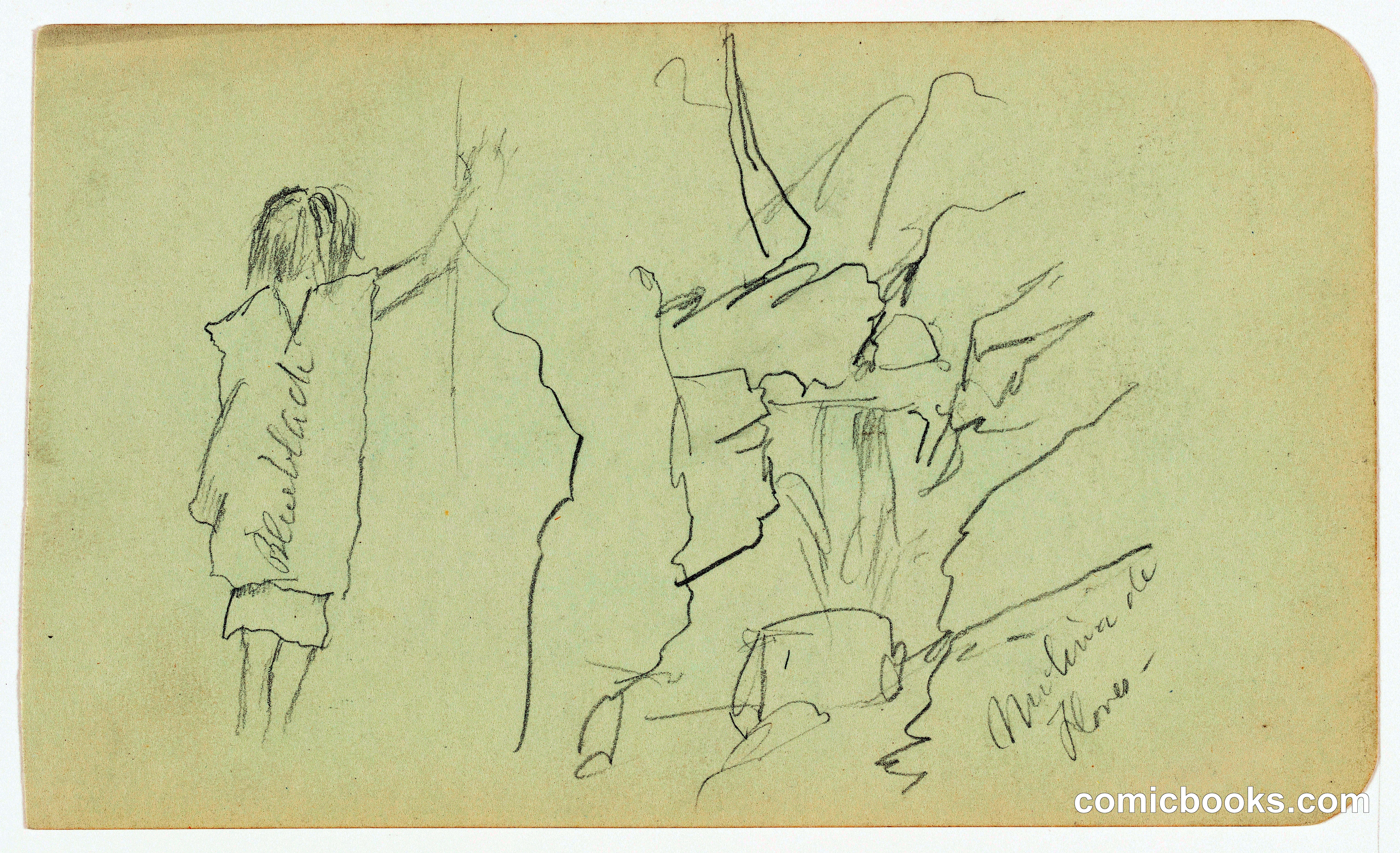 Studies from Hacienda Molino de Flores