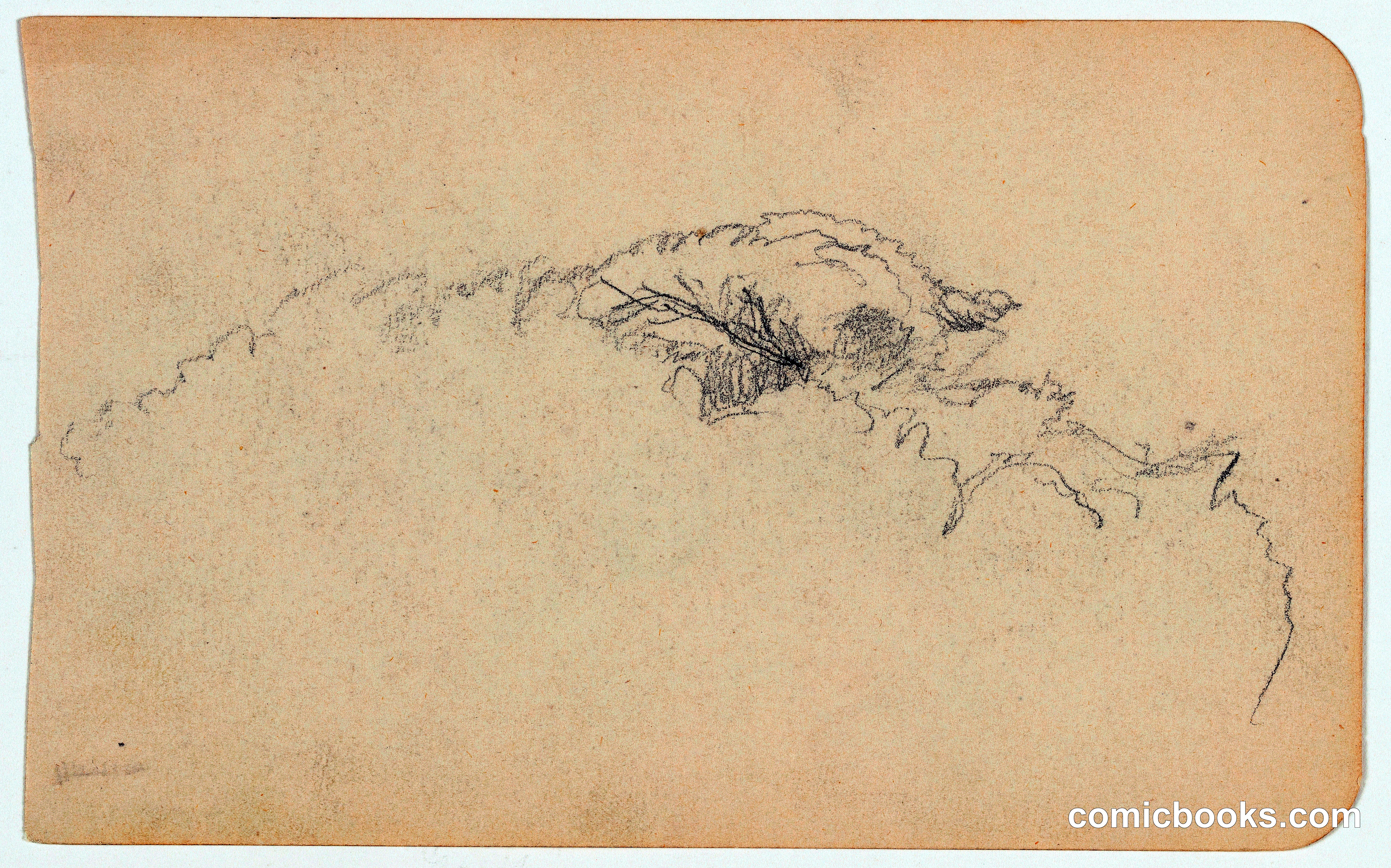 Study of Vegetation, Mexico