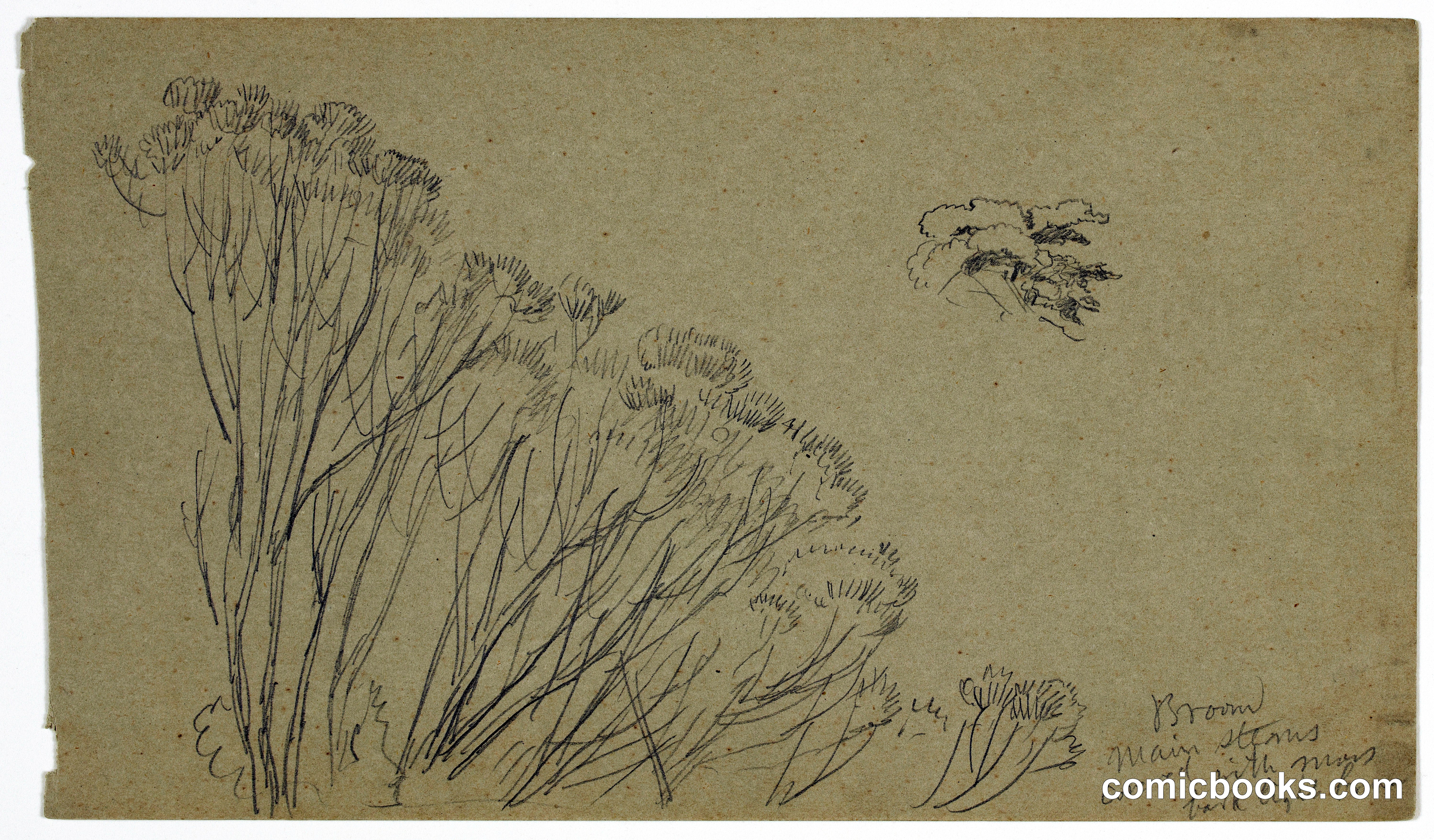Tree Sketches