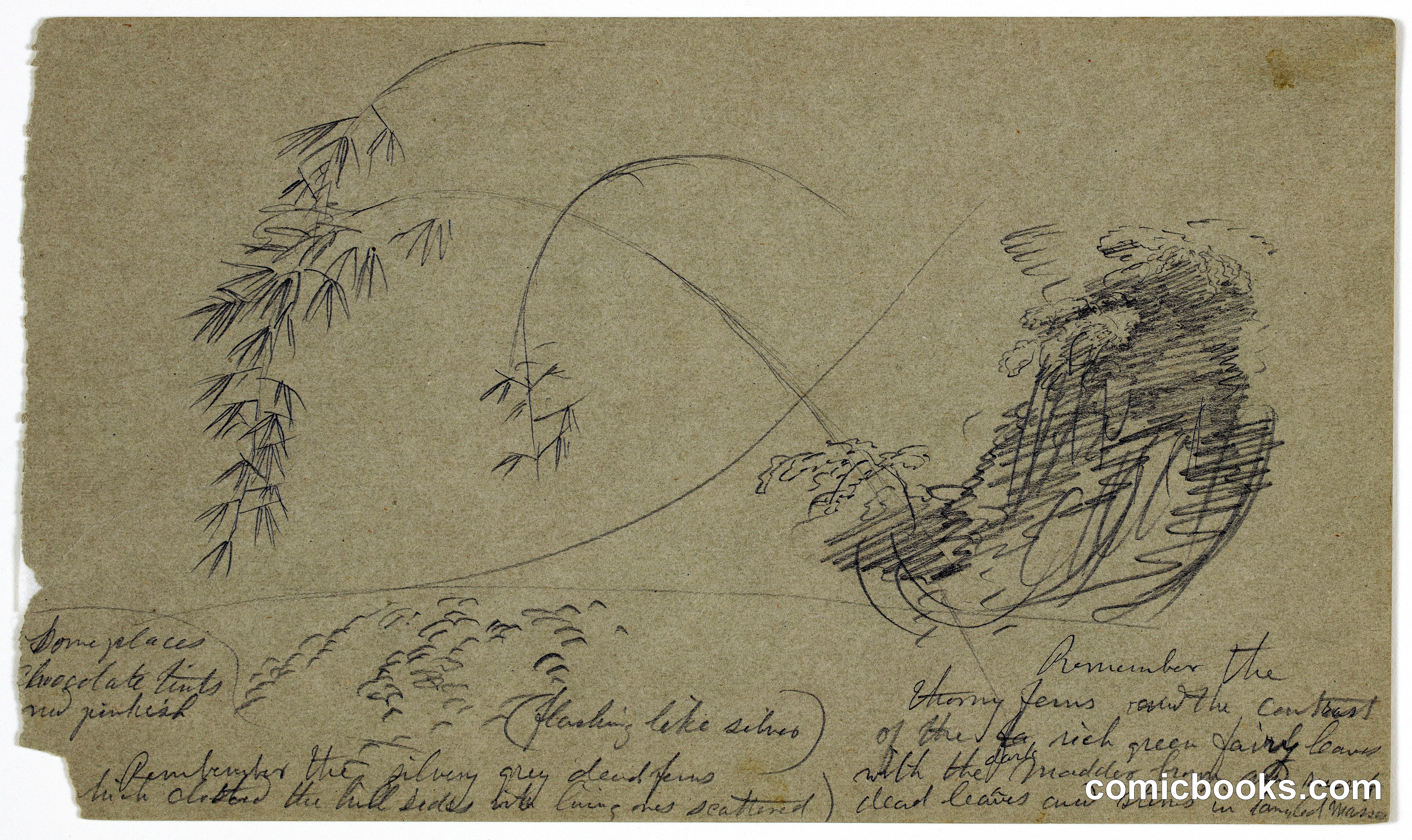 Bamboo Sketch, Jamaica