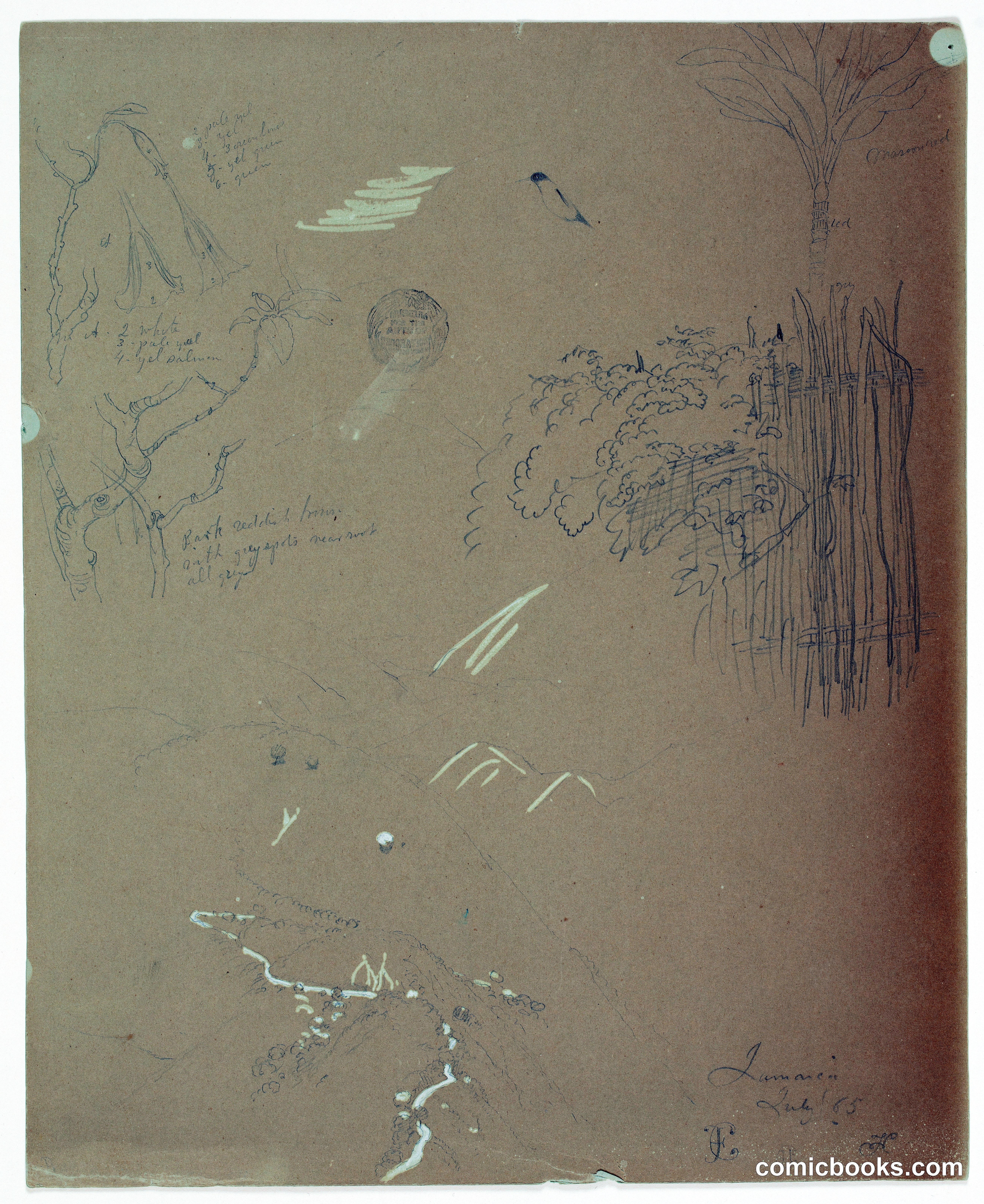 Sketches in the Blue Mountains, Jamaica