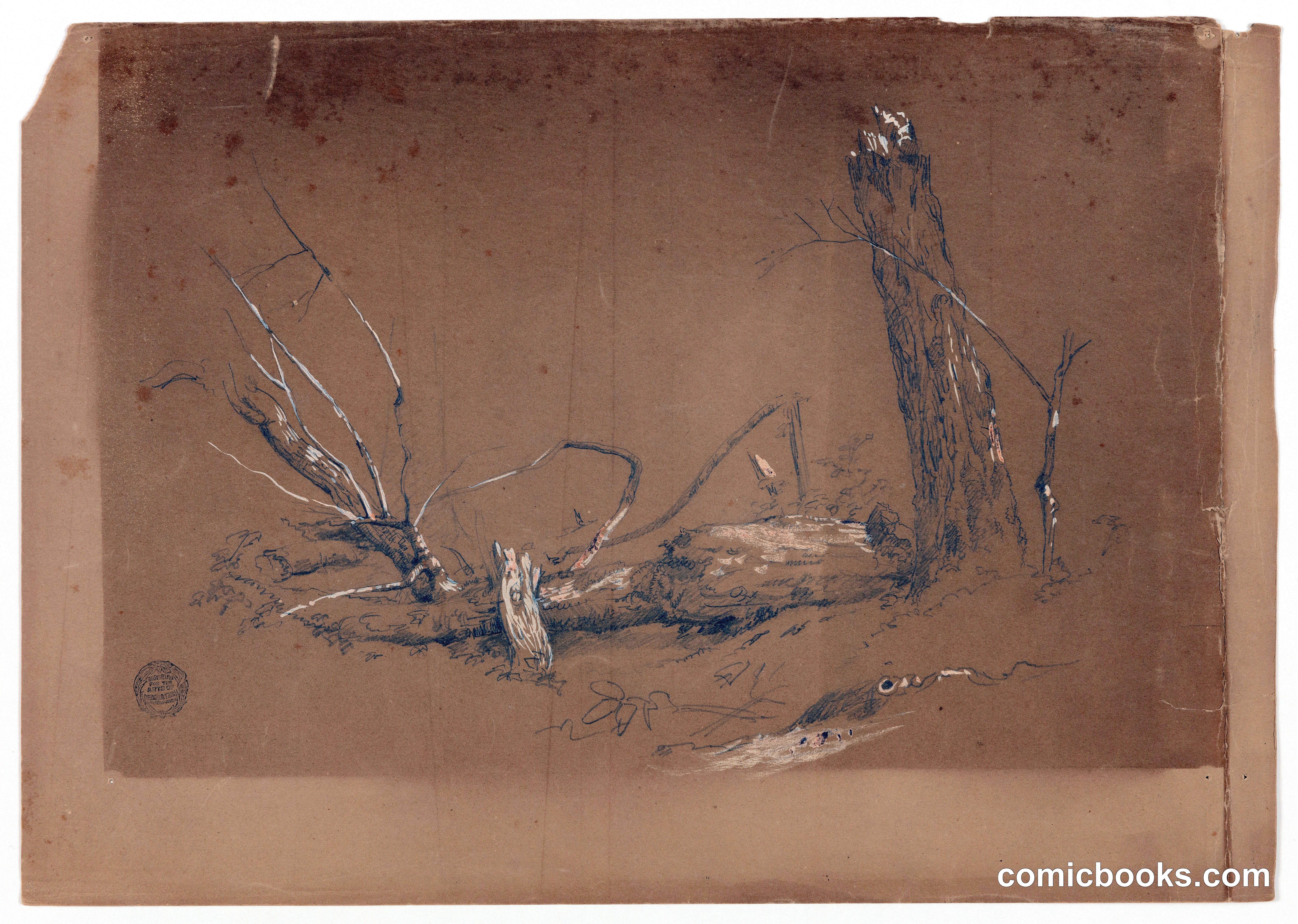 Dead and Broken Tree