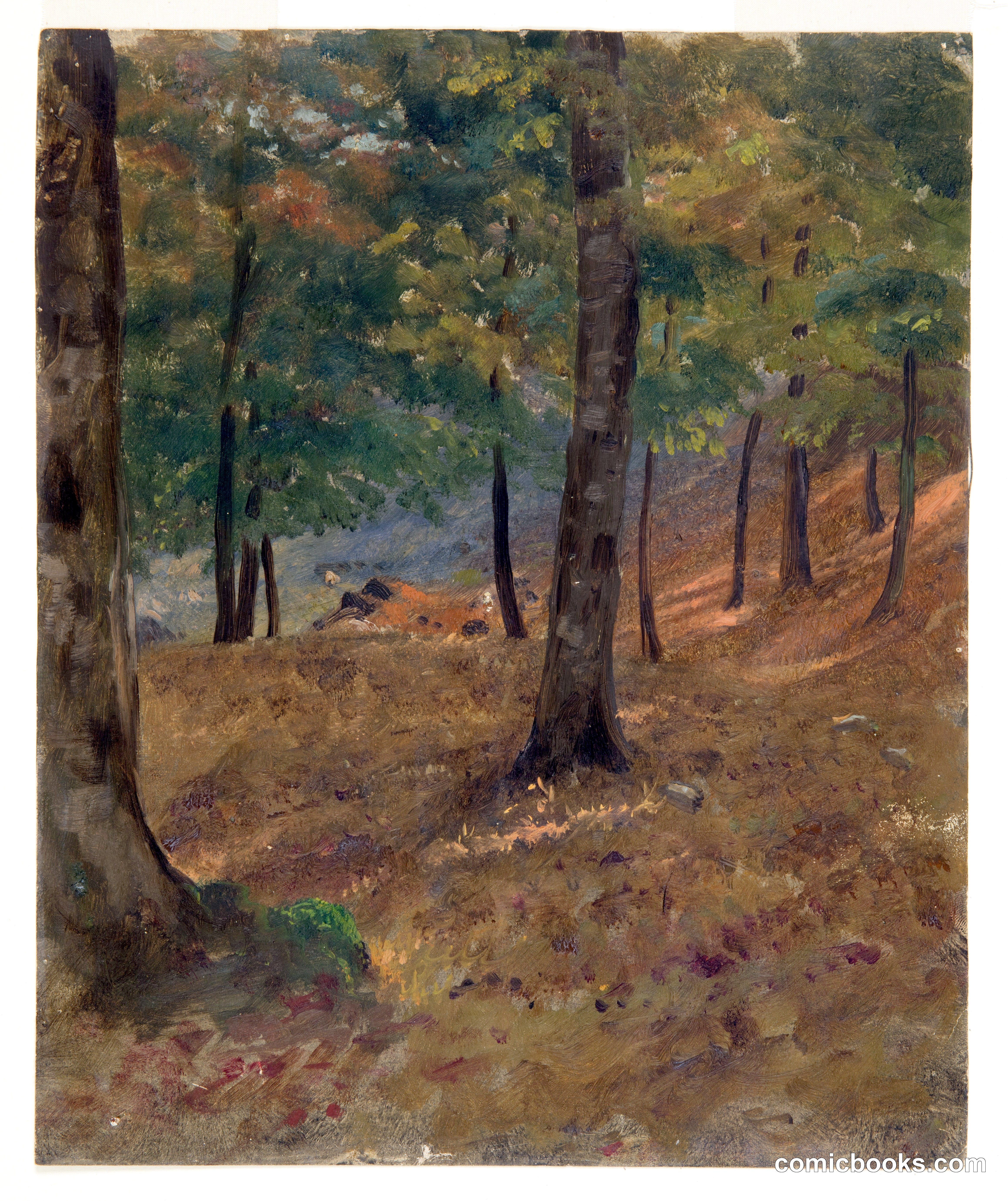 Woodland Scene