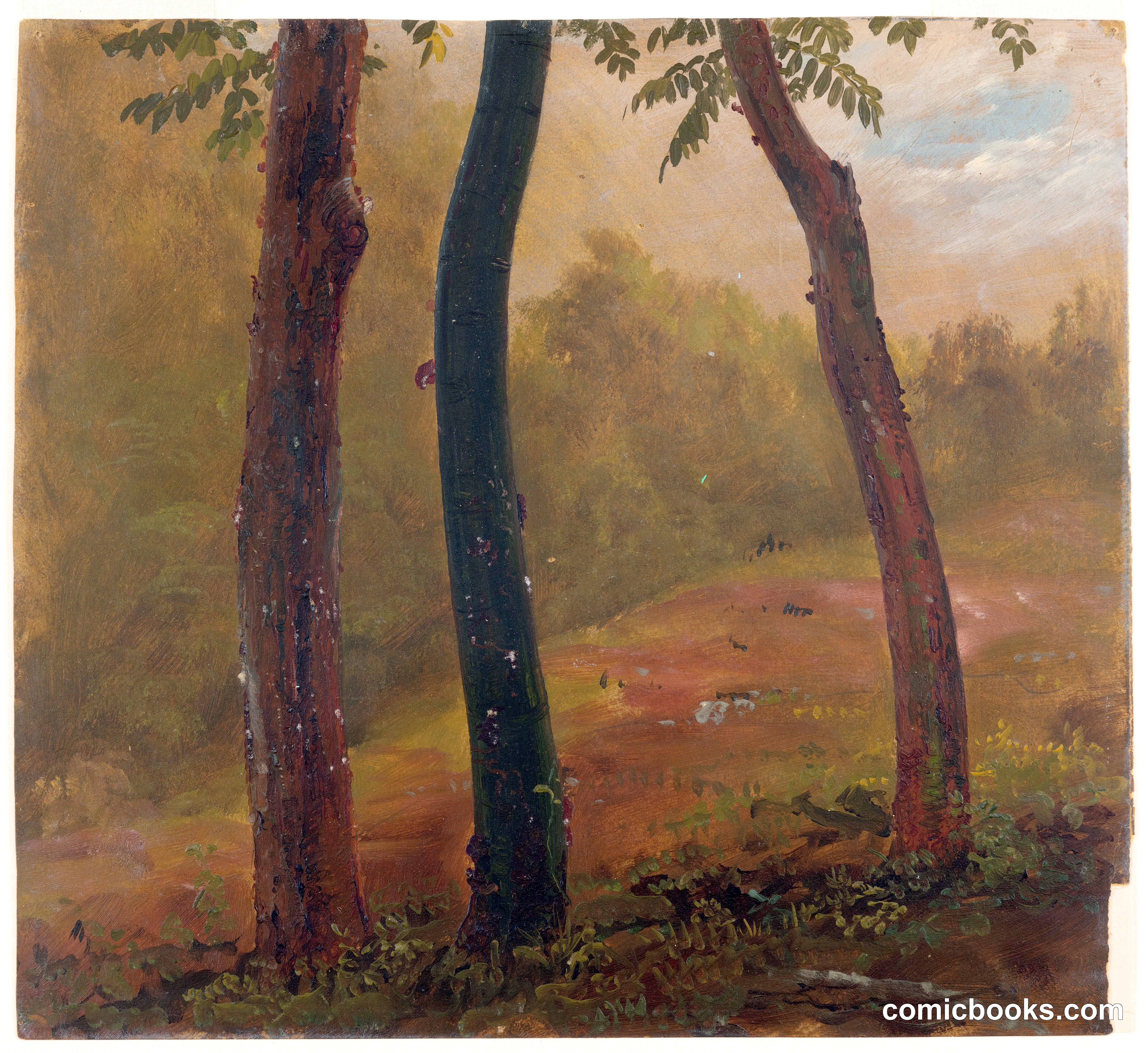 Almacigo Trees, Jamaica