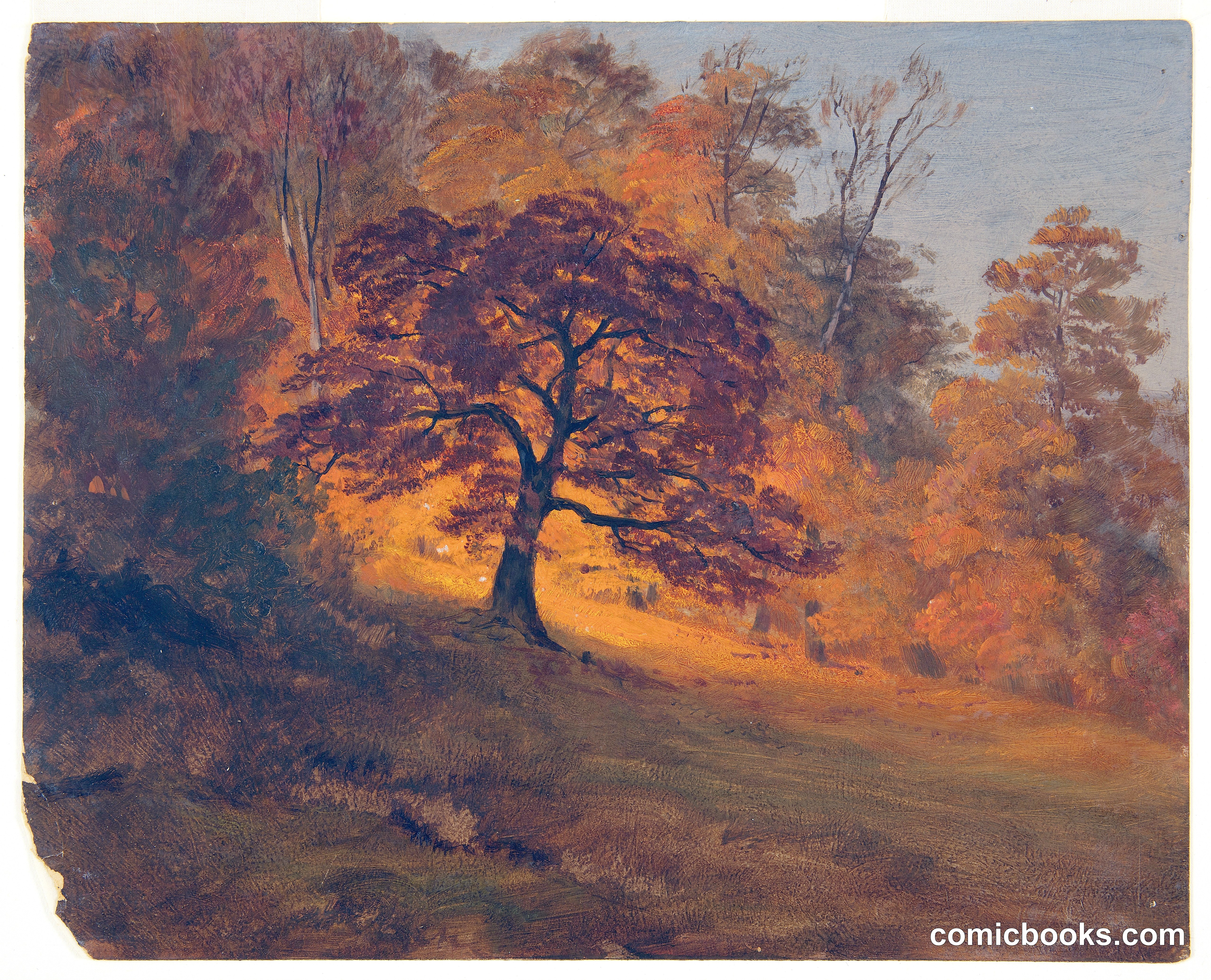 Autumn Foliage