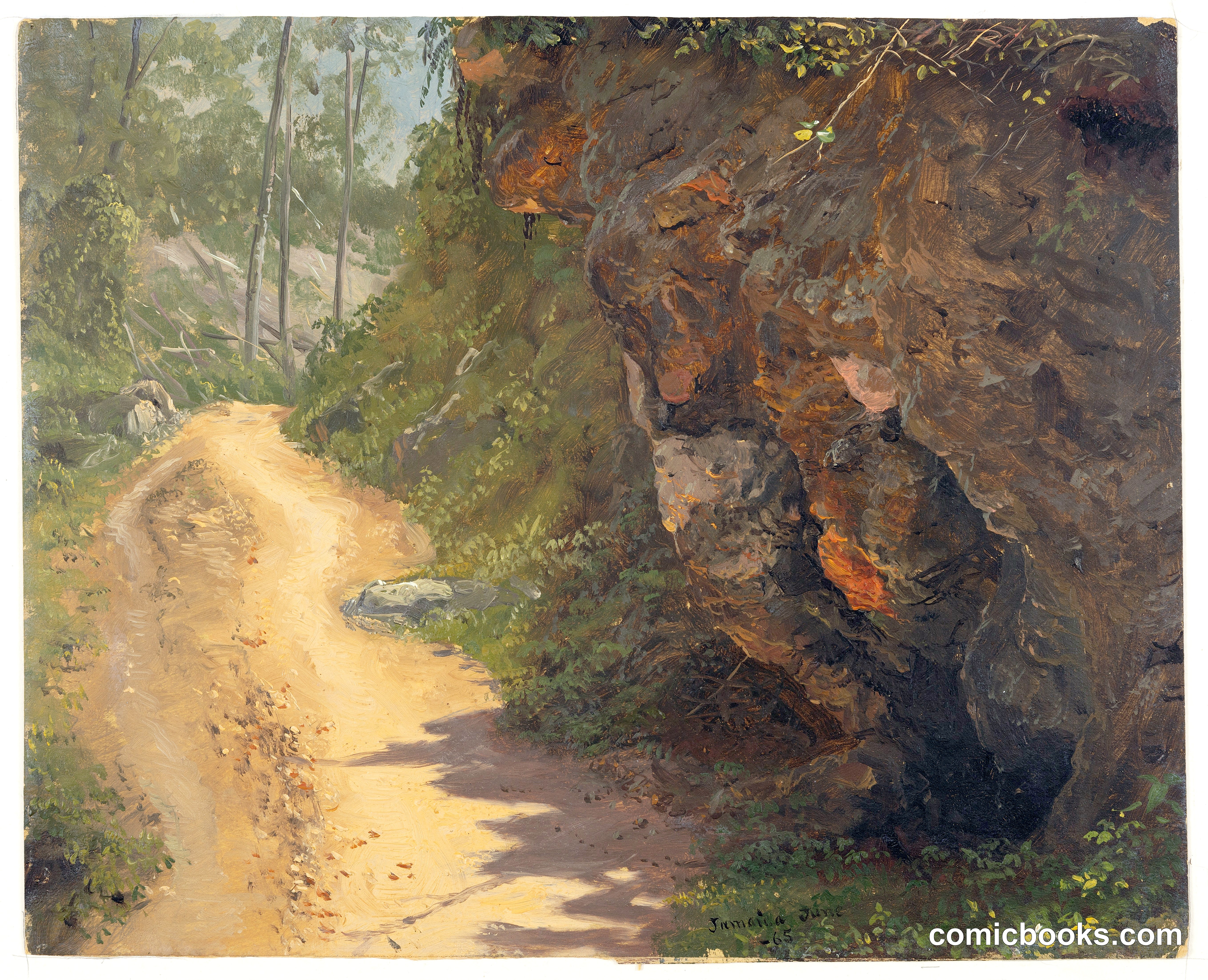 Woodland Path, Jamaica