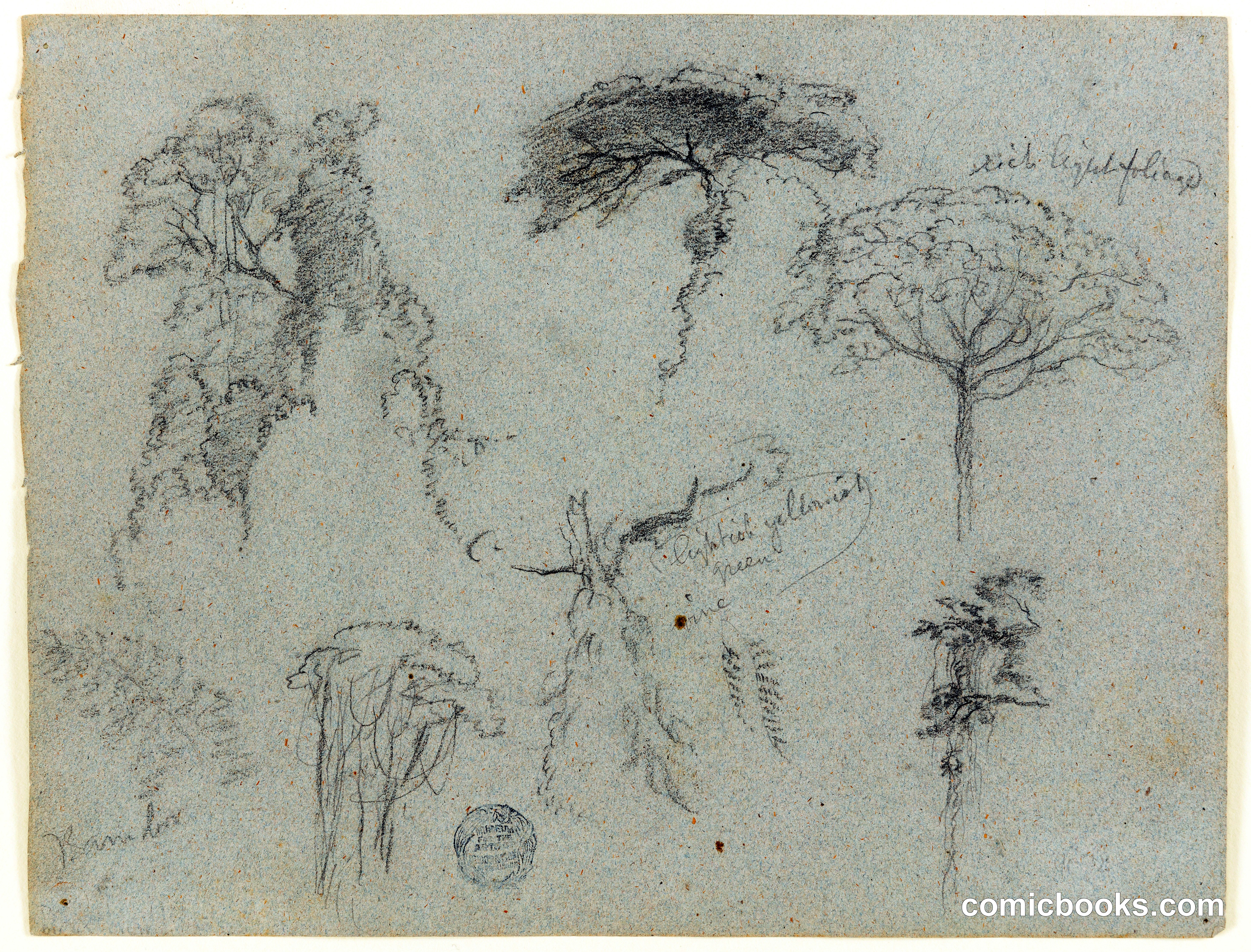 Sketches of Trees, Ecuador
