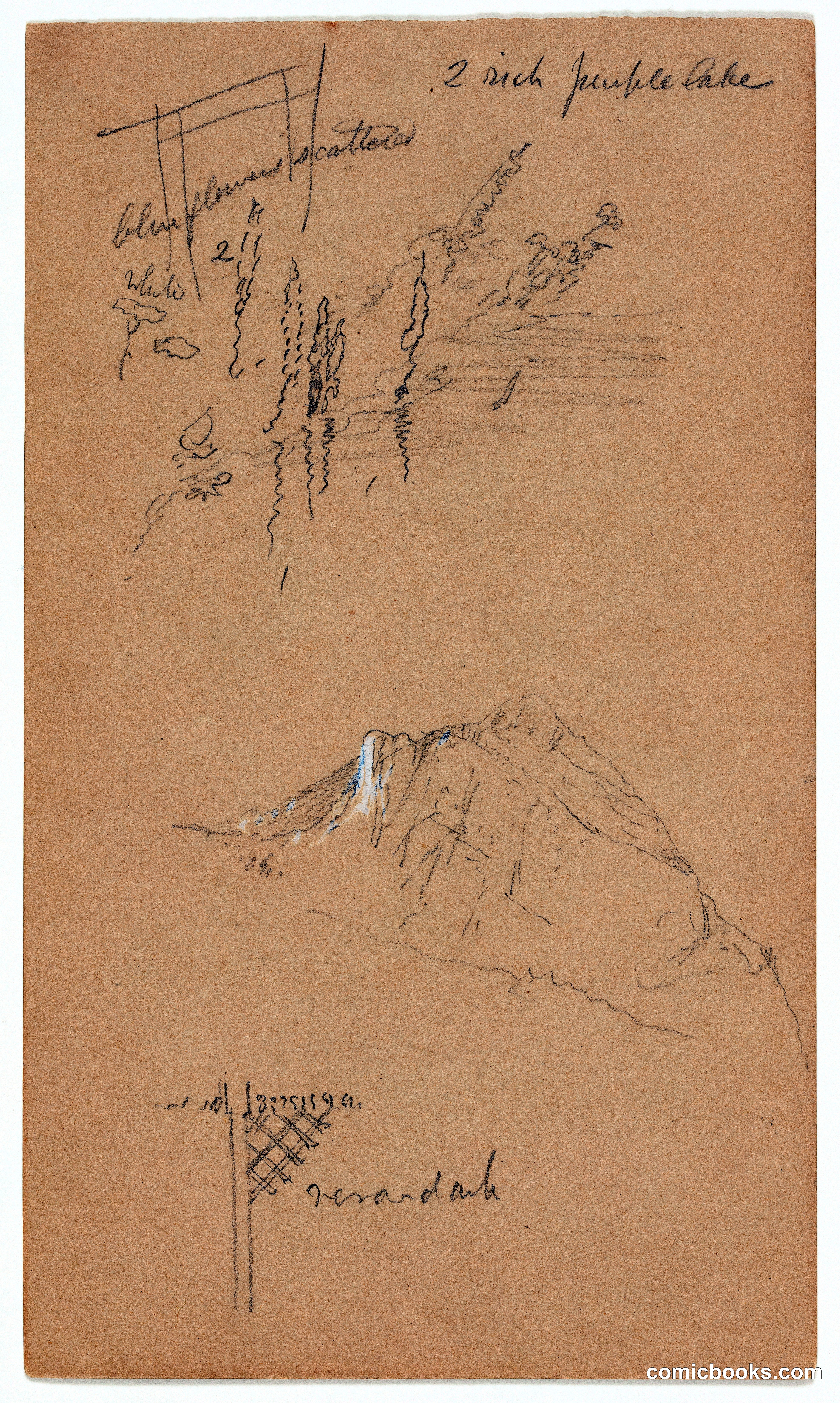 Shoreline Flowers and Mountain Peak