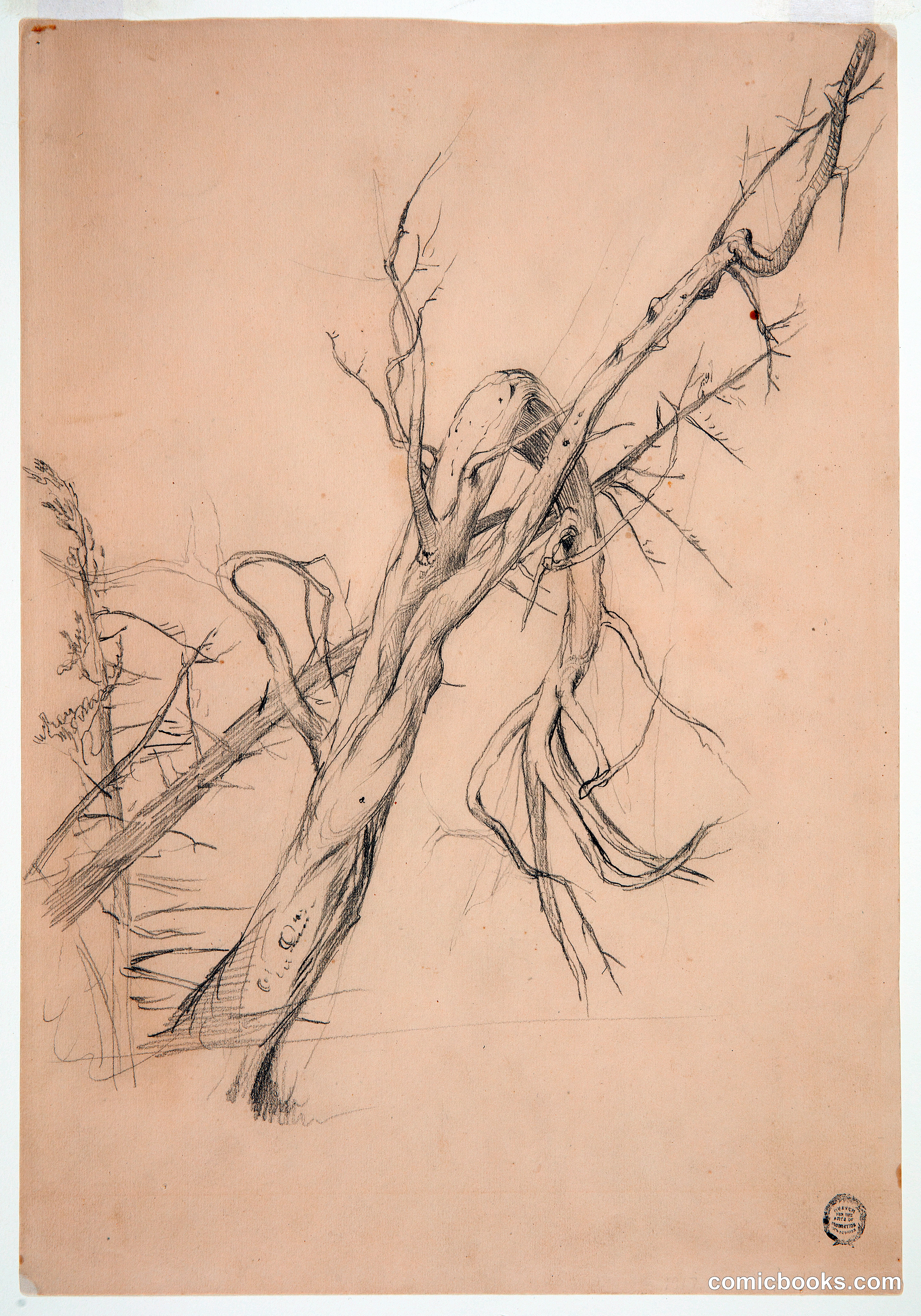 Gnarled Dead Tree