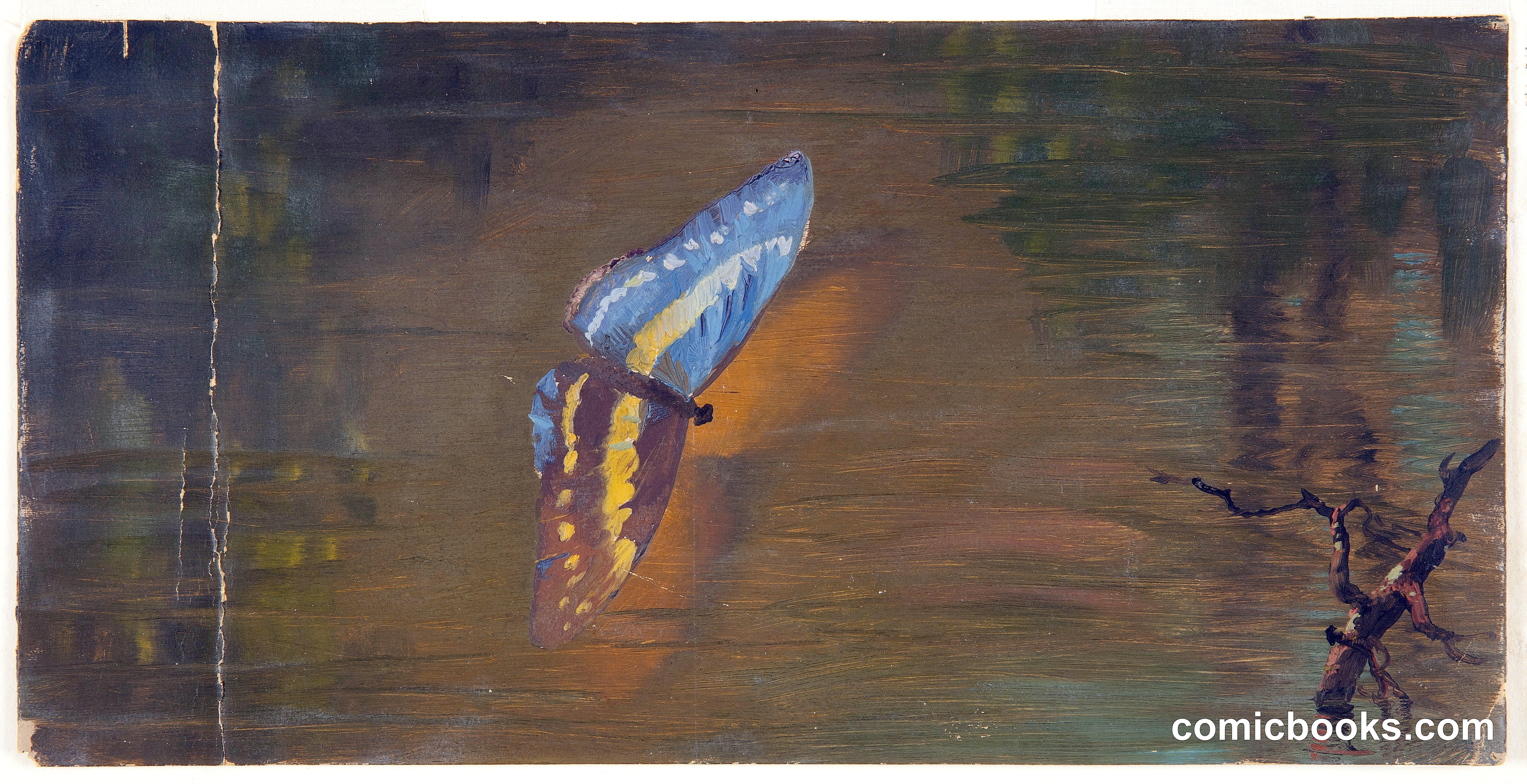 Butterfly over Water