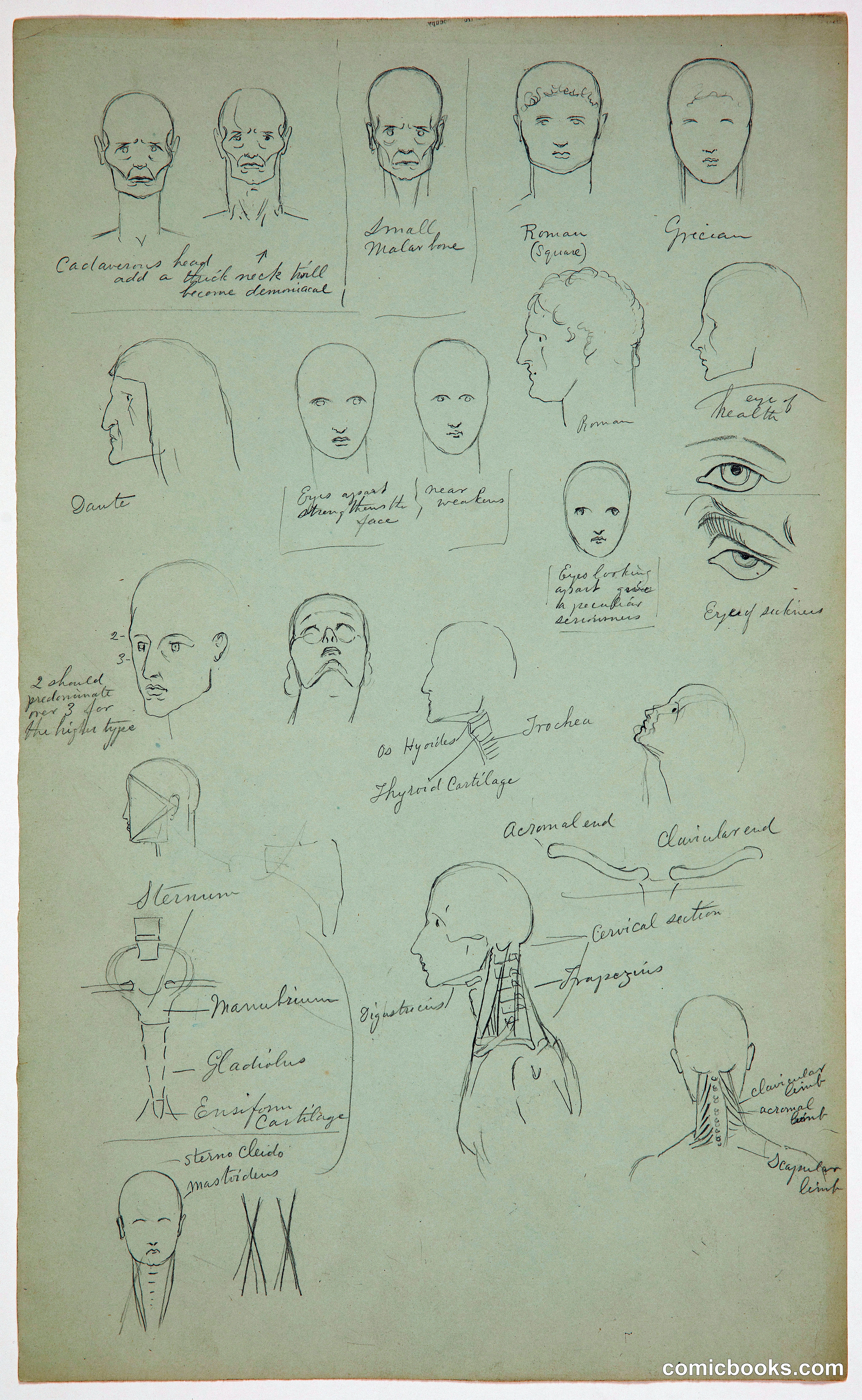 Anatomical Sketches of Heads and Facial Expressions