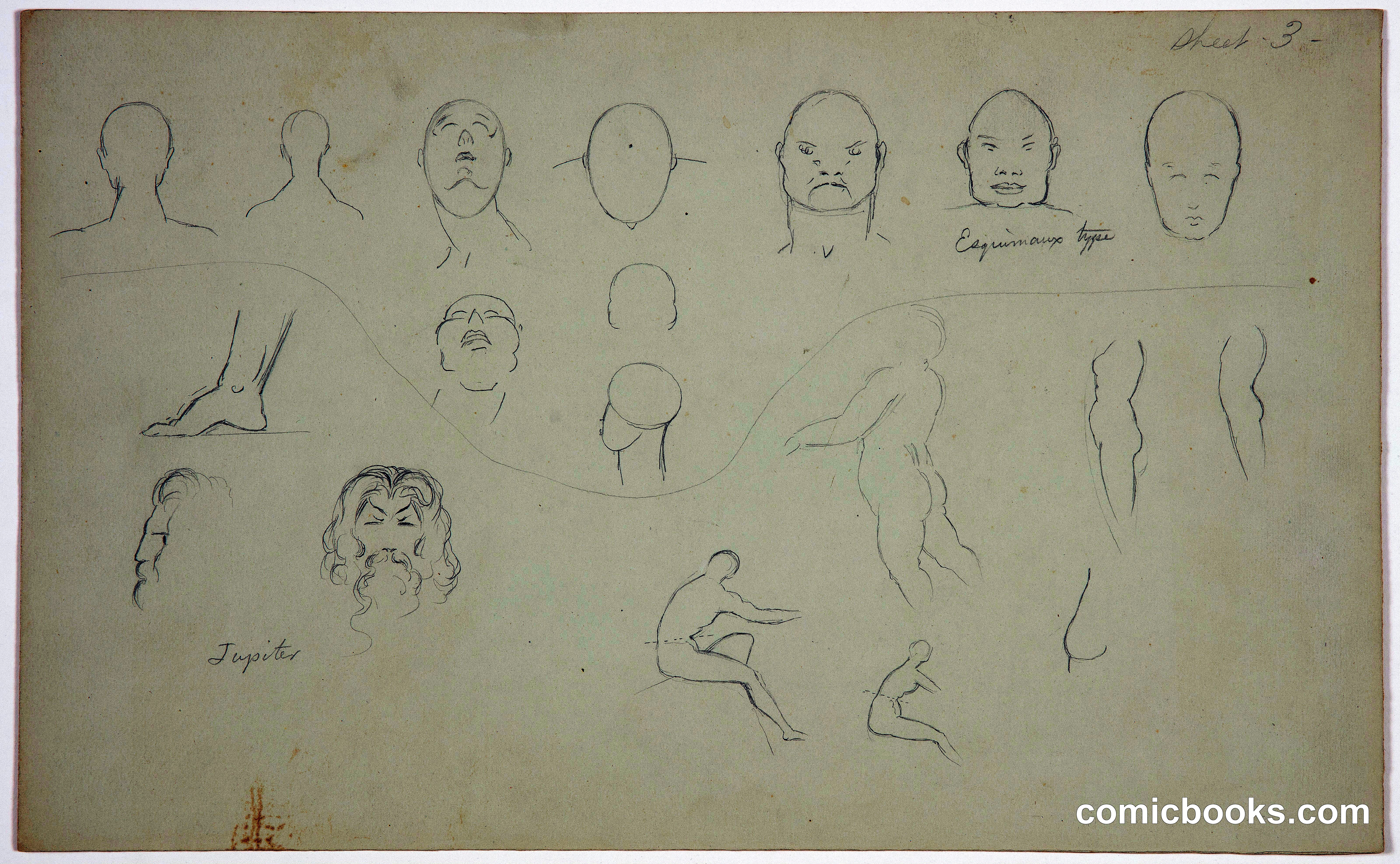 Anatomical Sketches of Heads and Torsos
