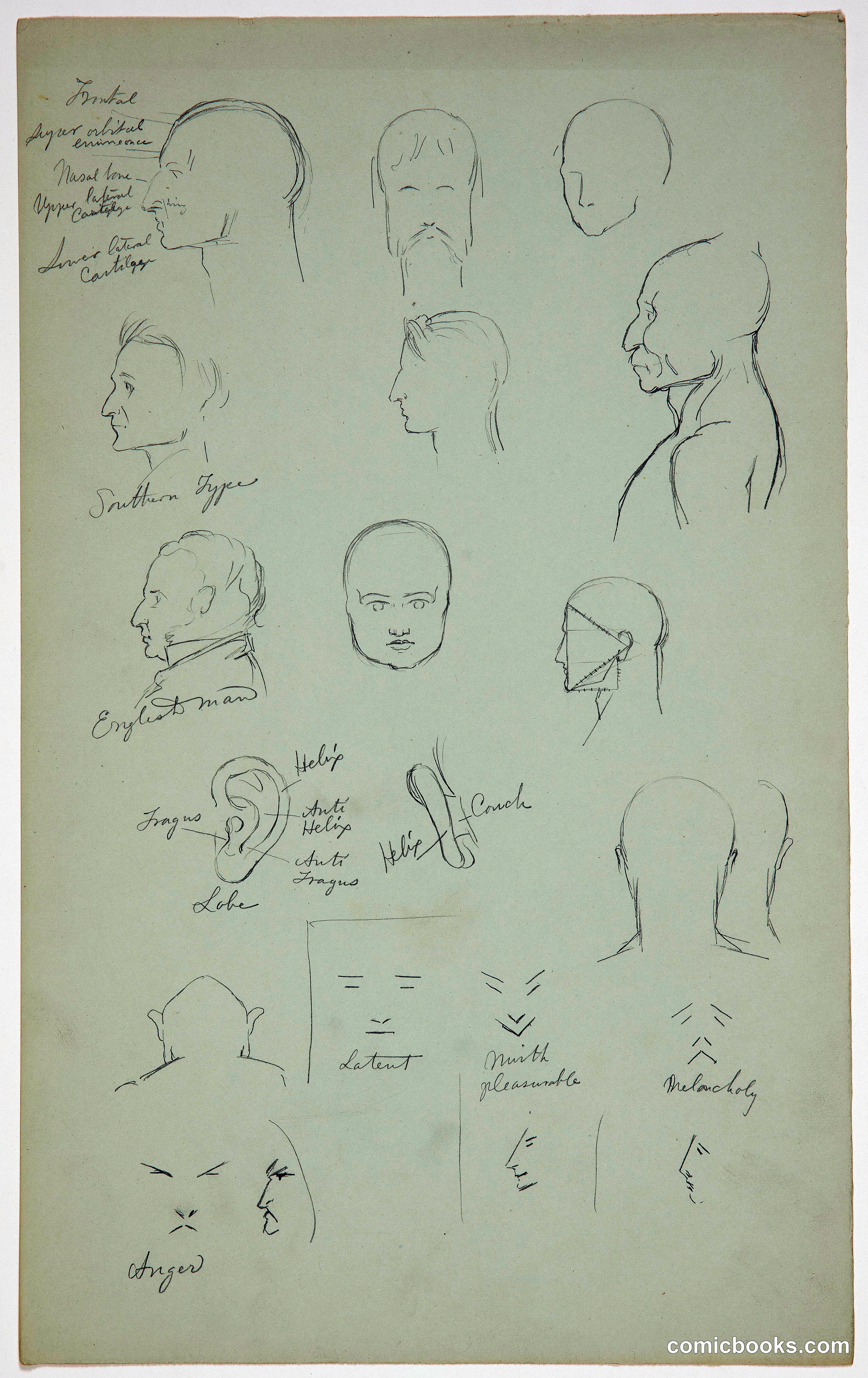 Anatomical Sketches of Heads, Faces, and the Ear