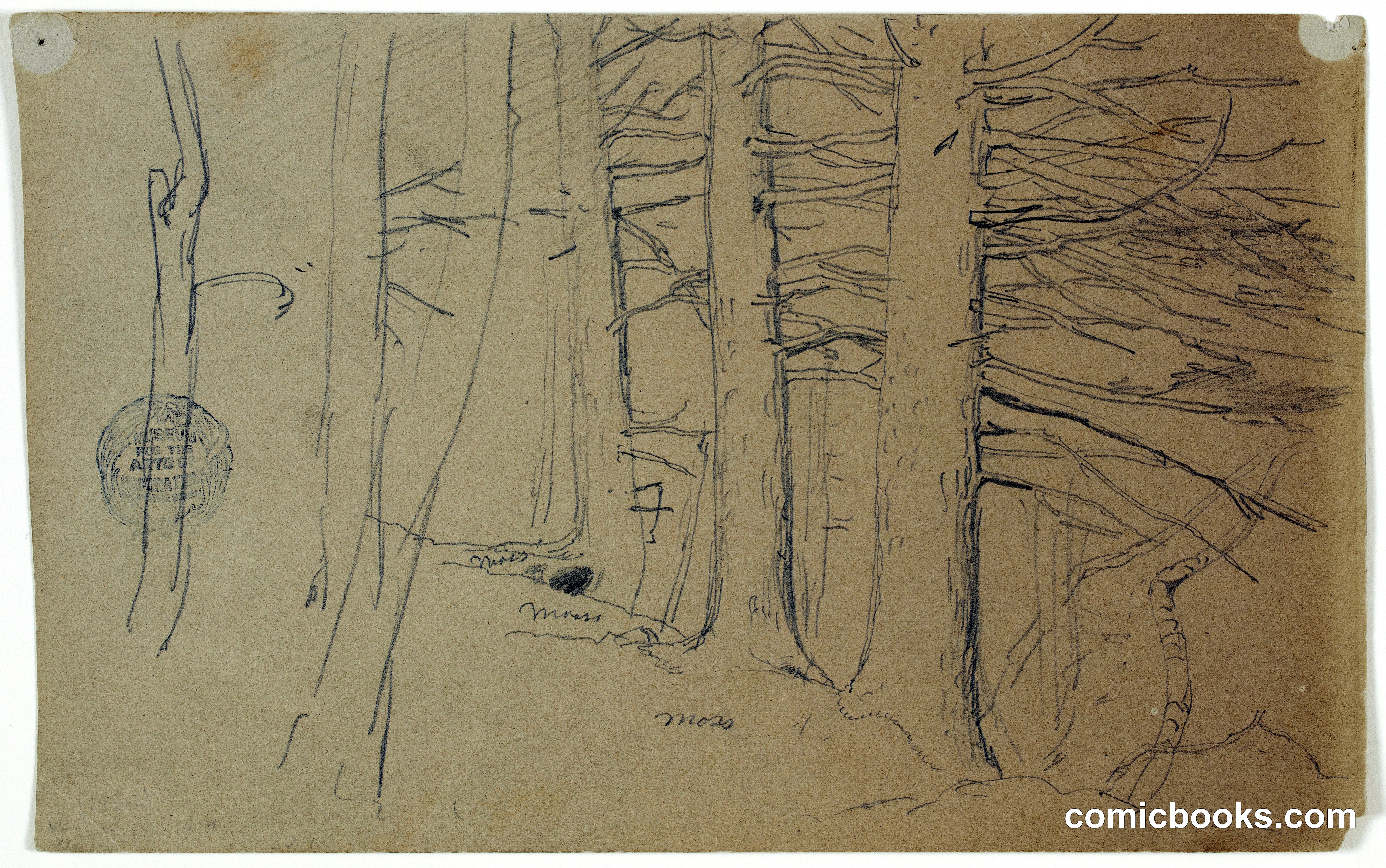 Trees on a Slope