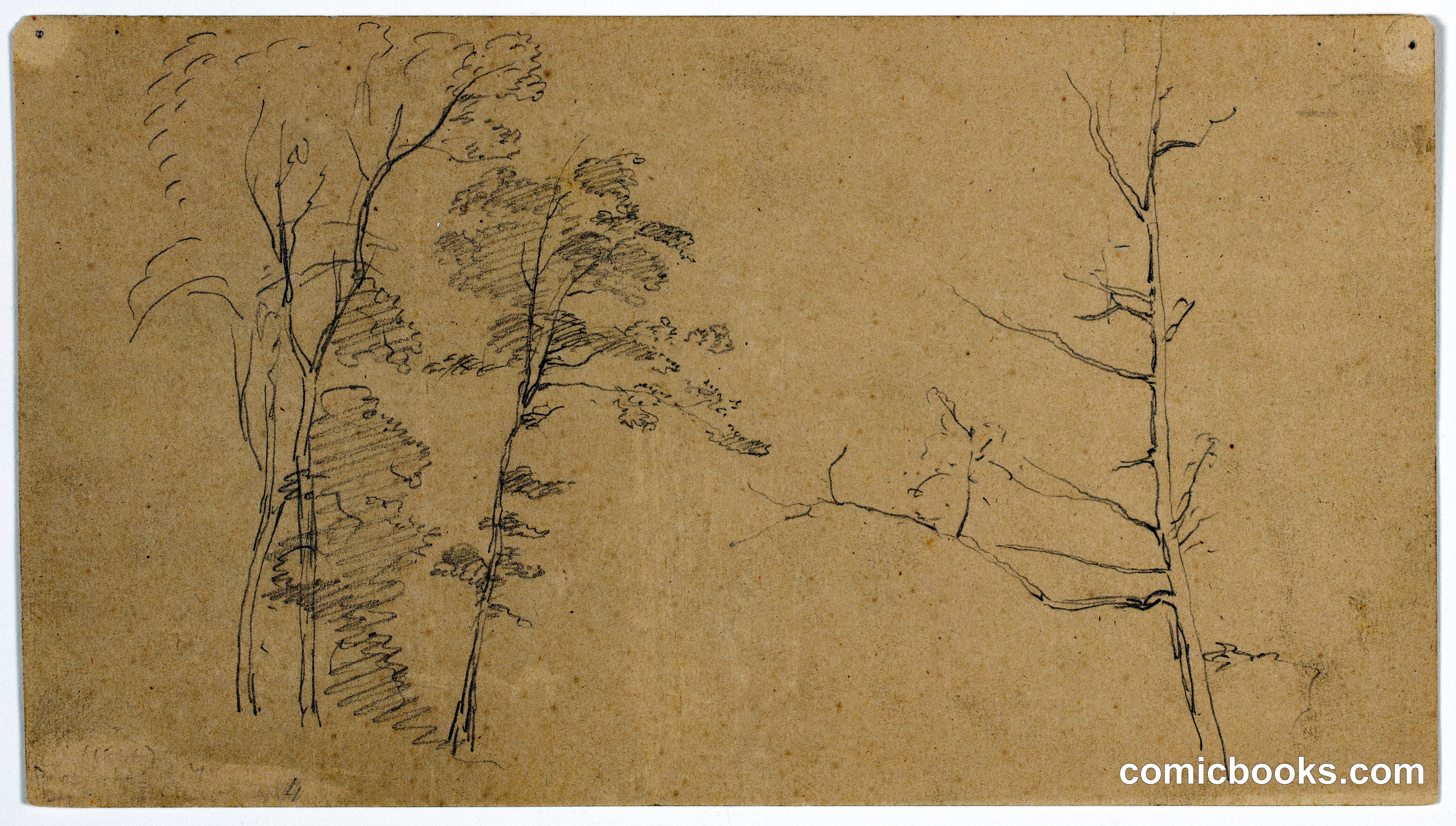 Sketches of Trees