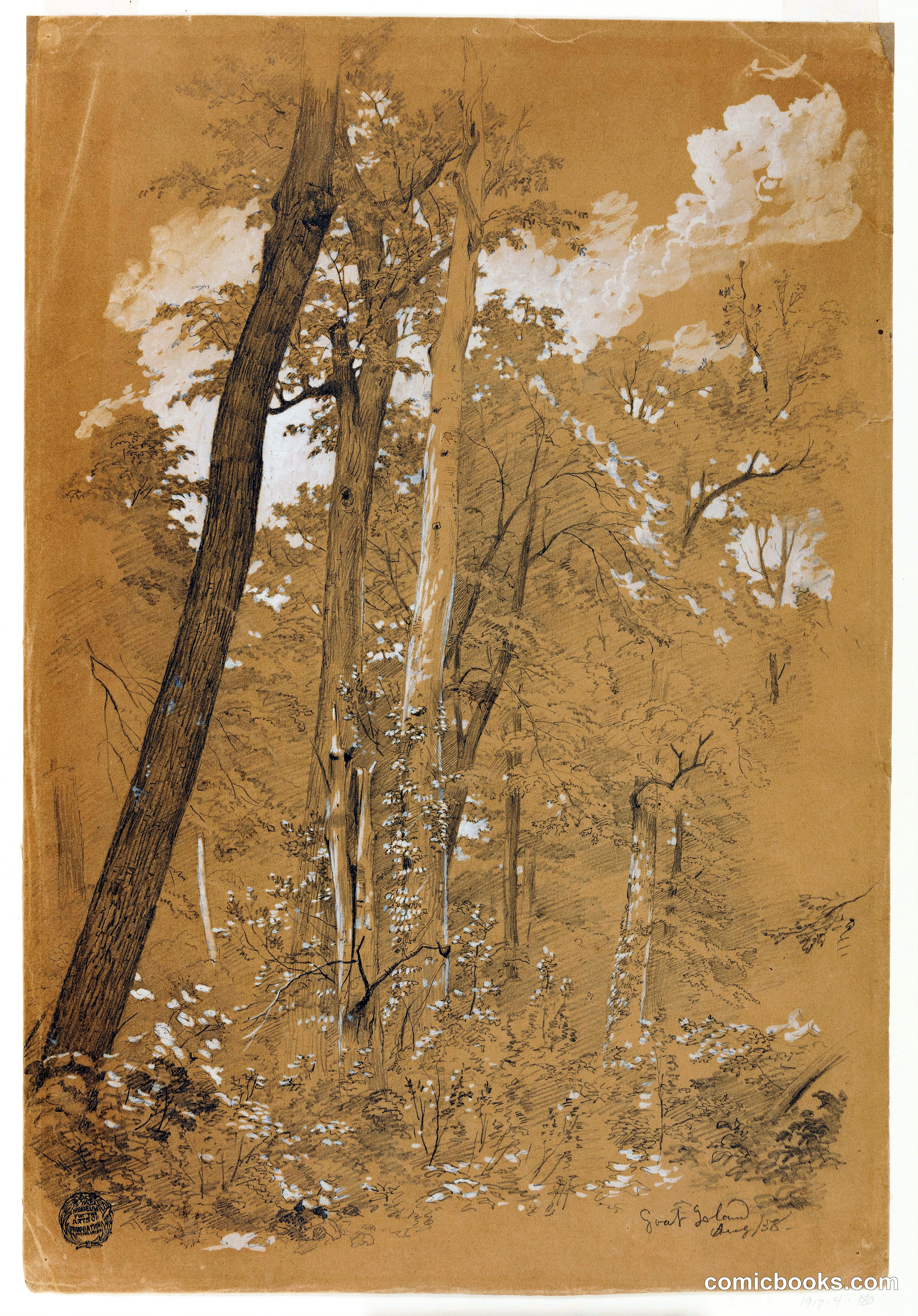 Trees on Goat Island, Niagara River, New York