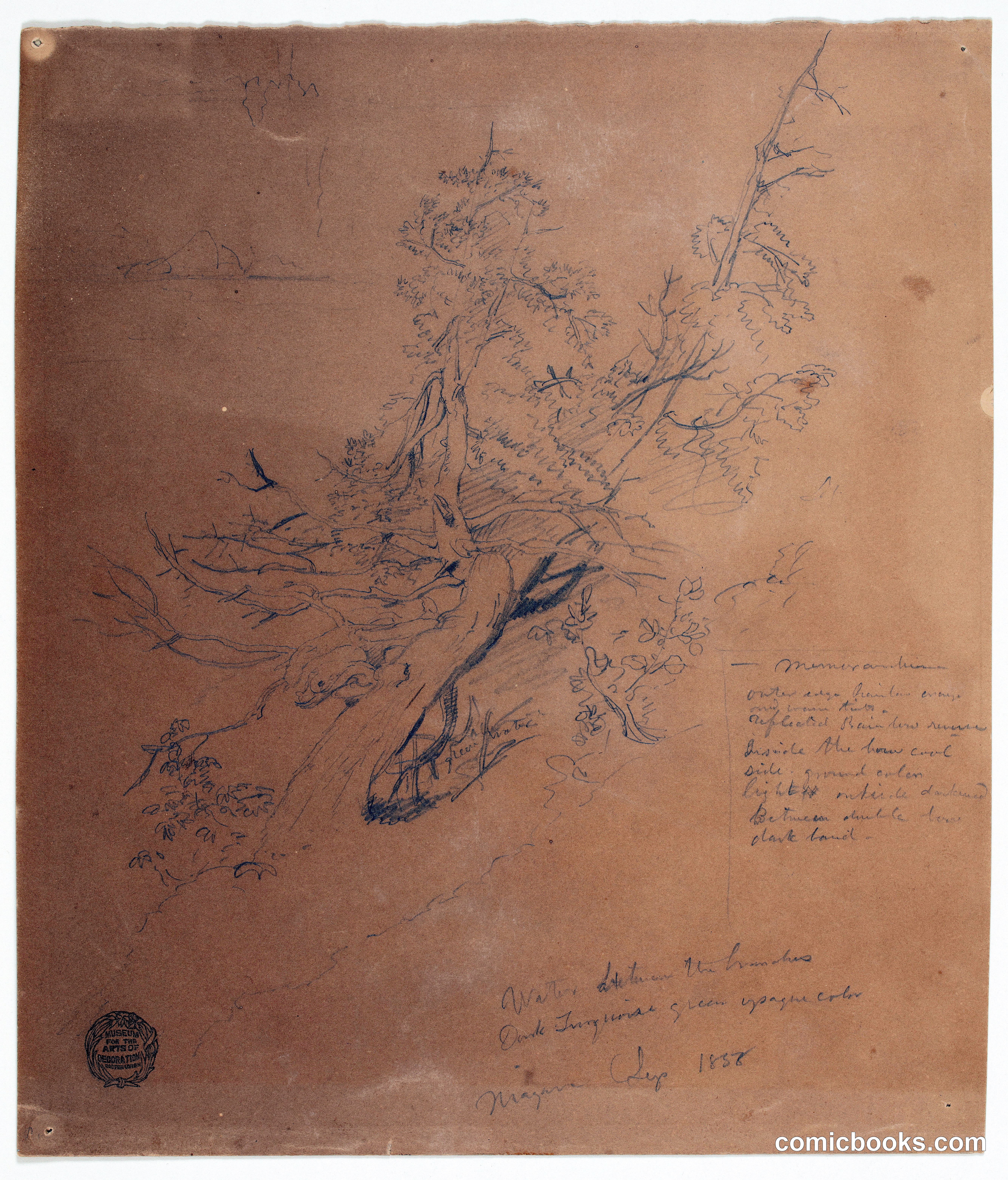 Study of a Gnarled Tree