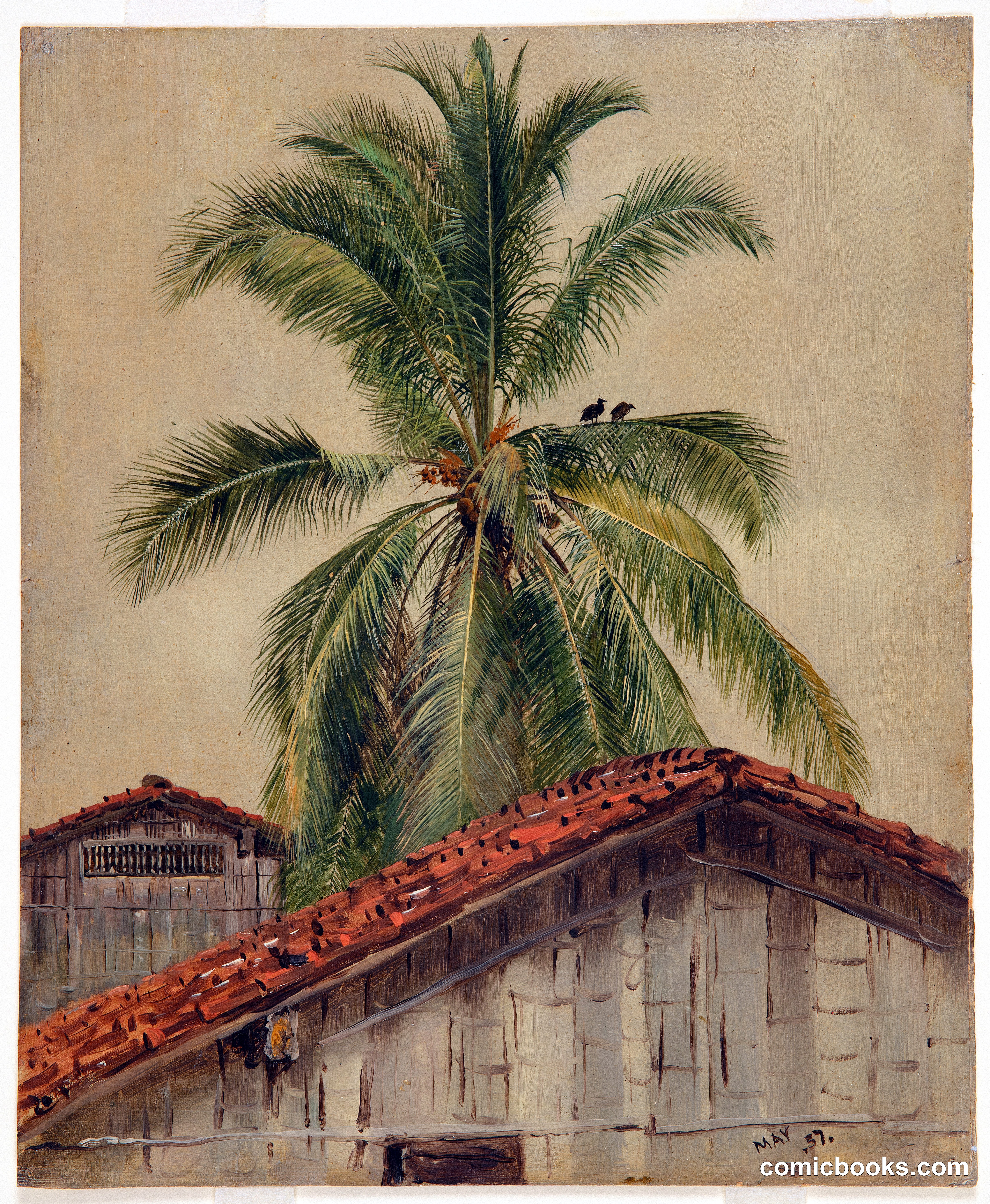 Palm Trees and Housetops, Ecuador