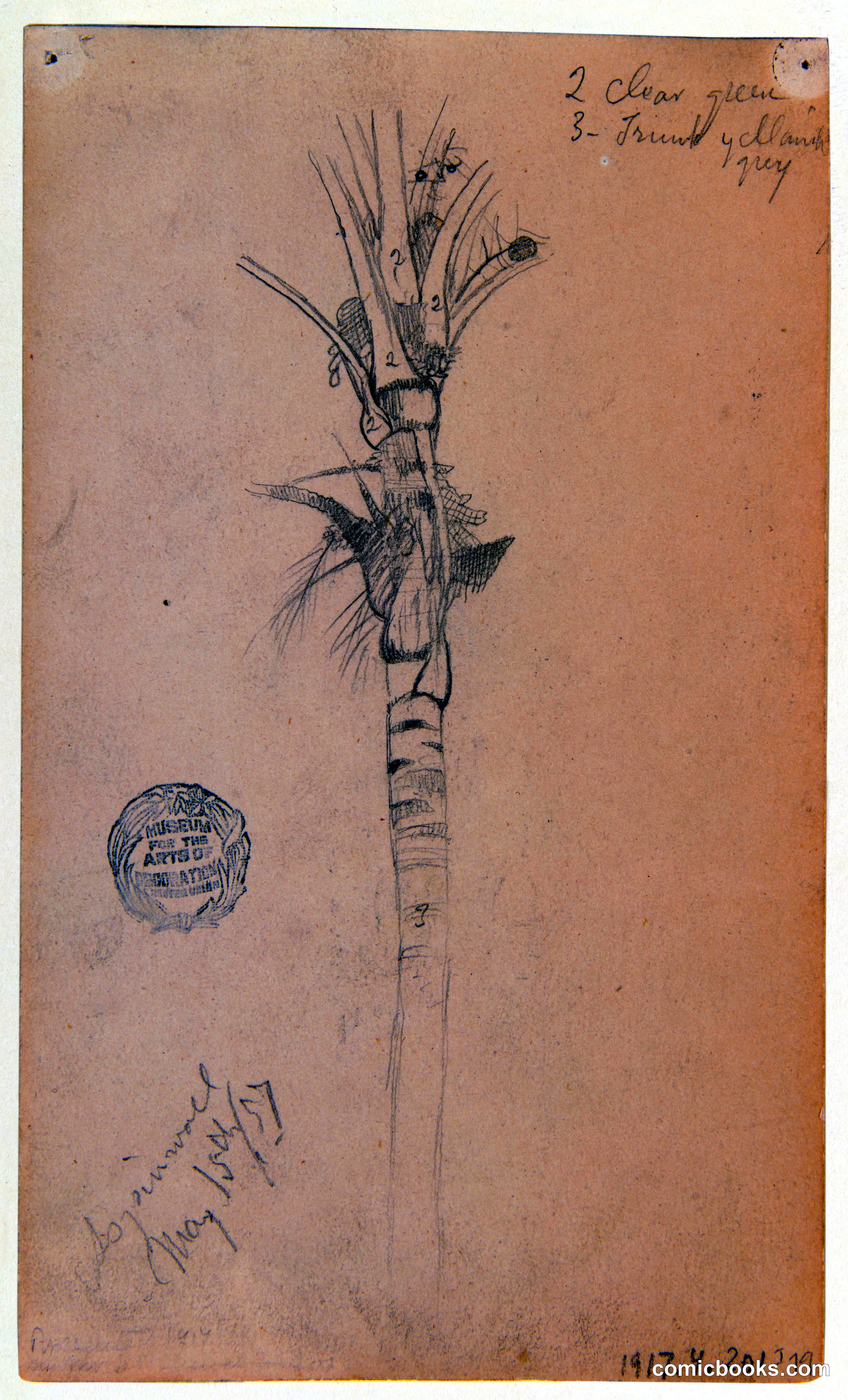 Palm Tree, Aspinwall (Colón), Panama