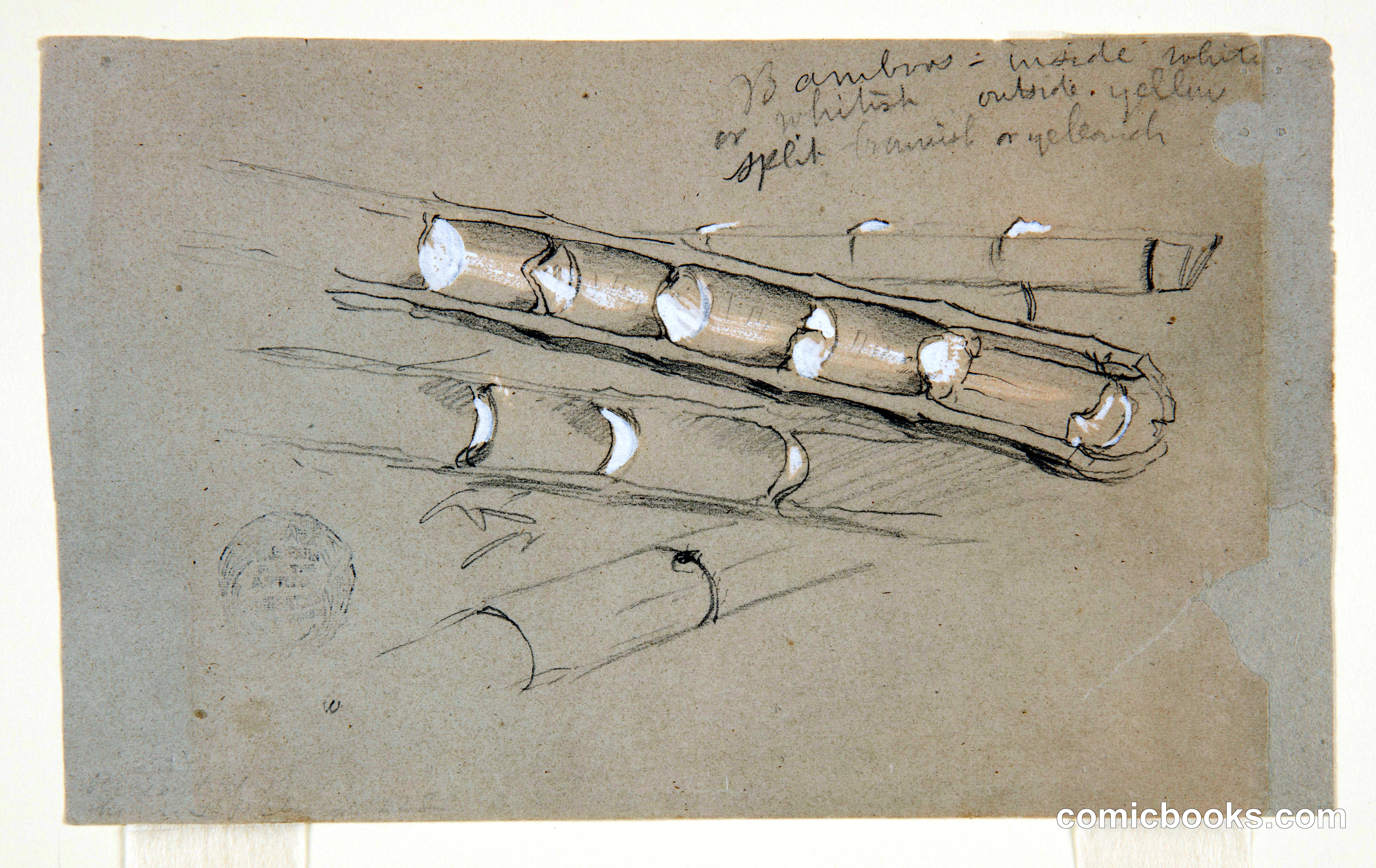 Bamboo Sketch, Ecuador