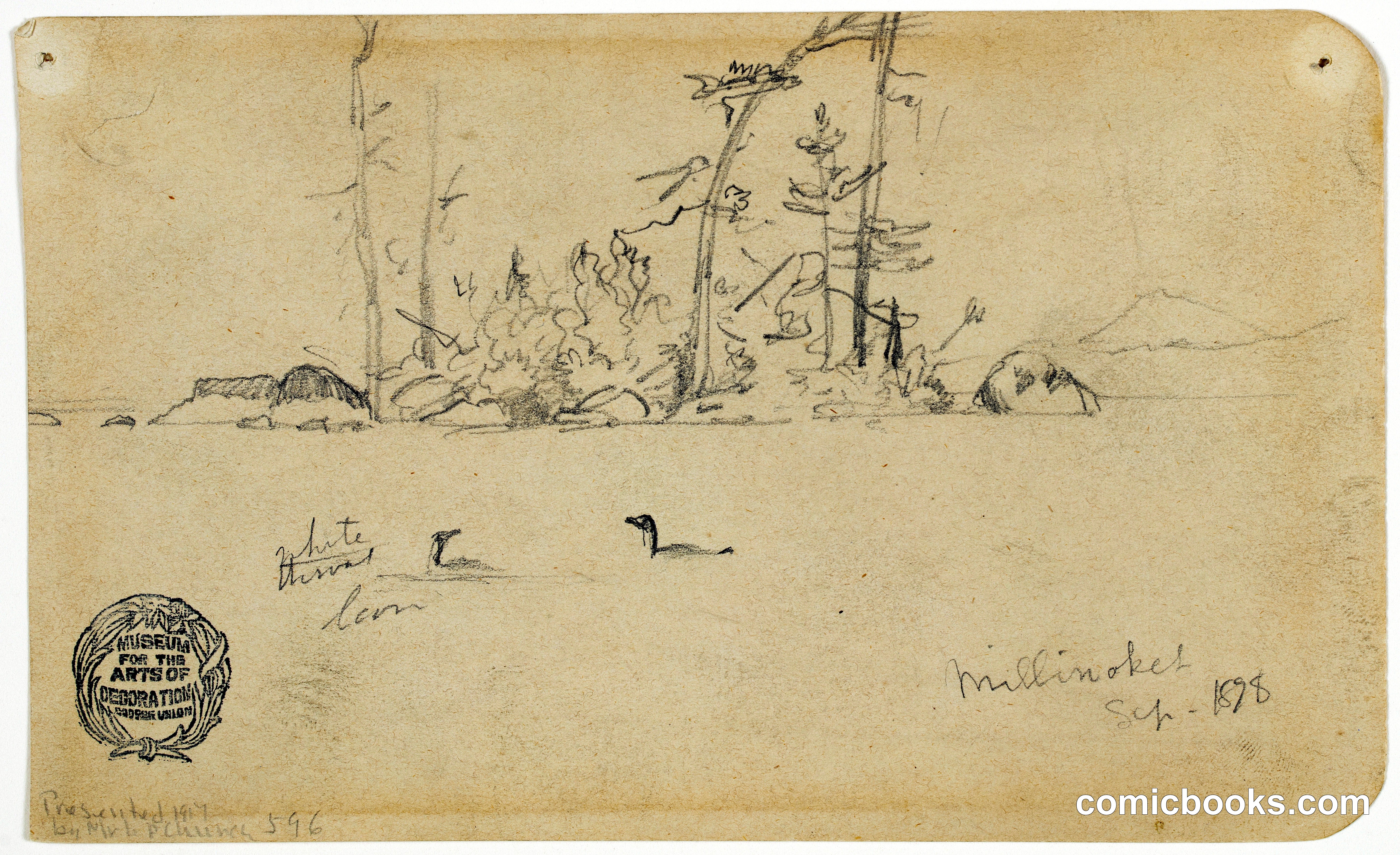 Loons on Lake Millinocket, Maine