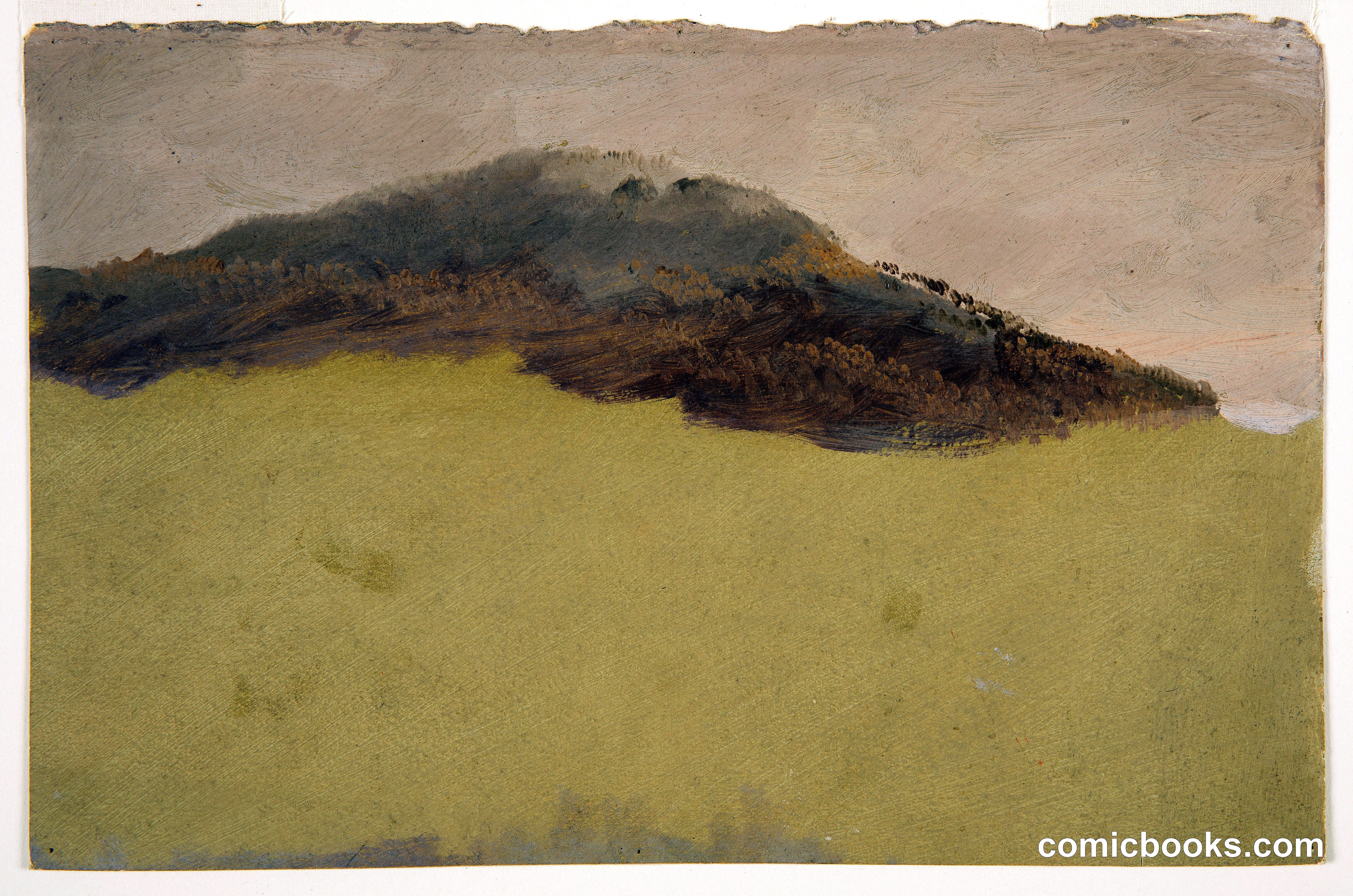 Wooded Hillside