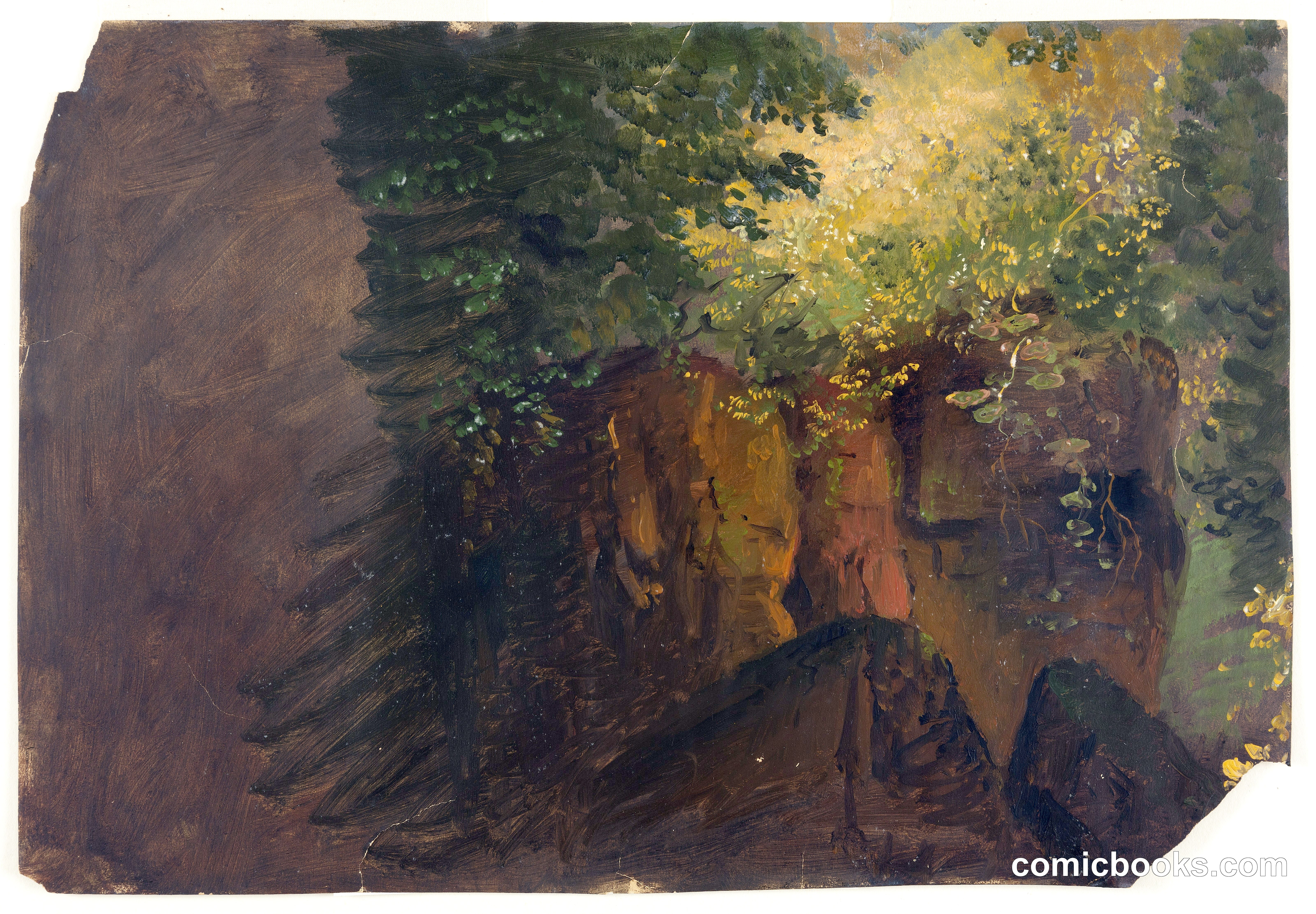 Boulders and Vines