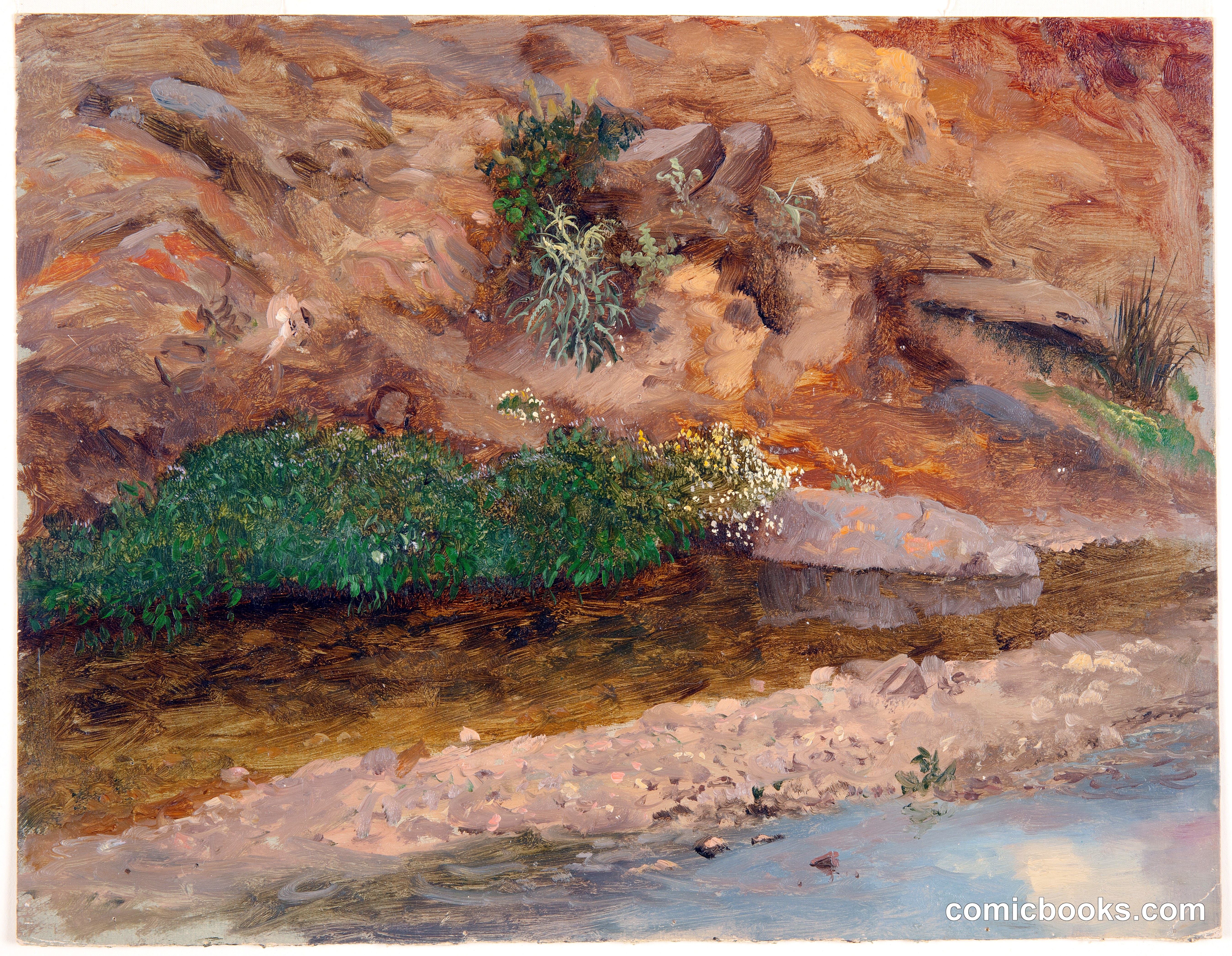 Bank of a Stream