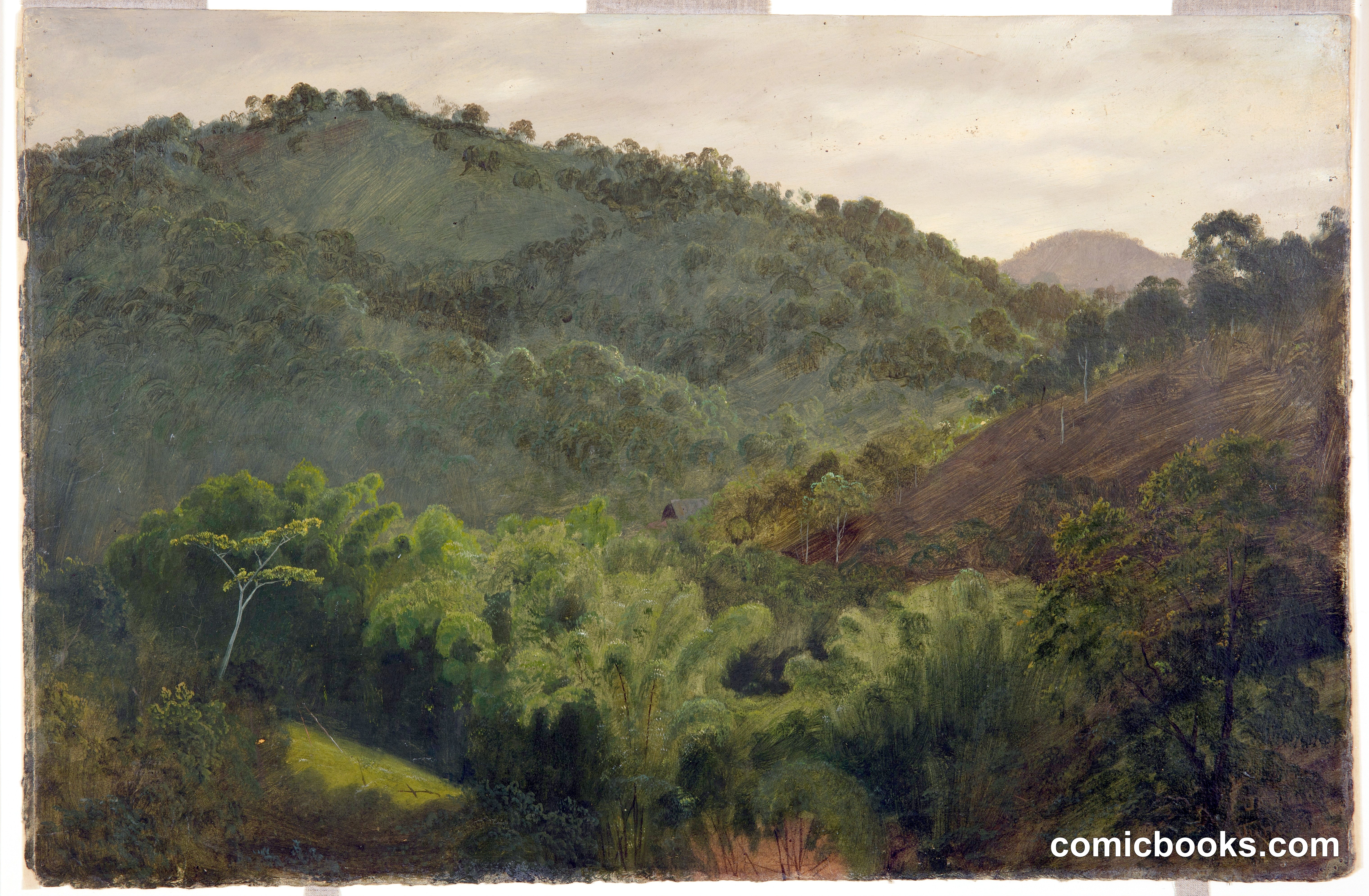 Wooded Vale, Jamaica