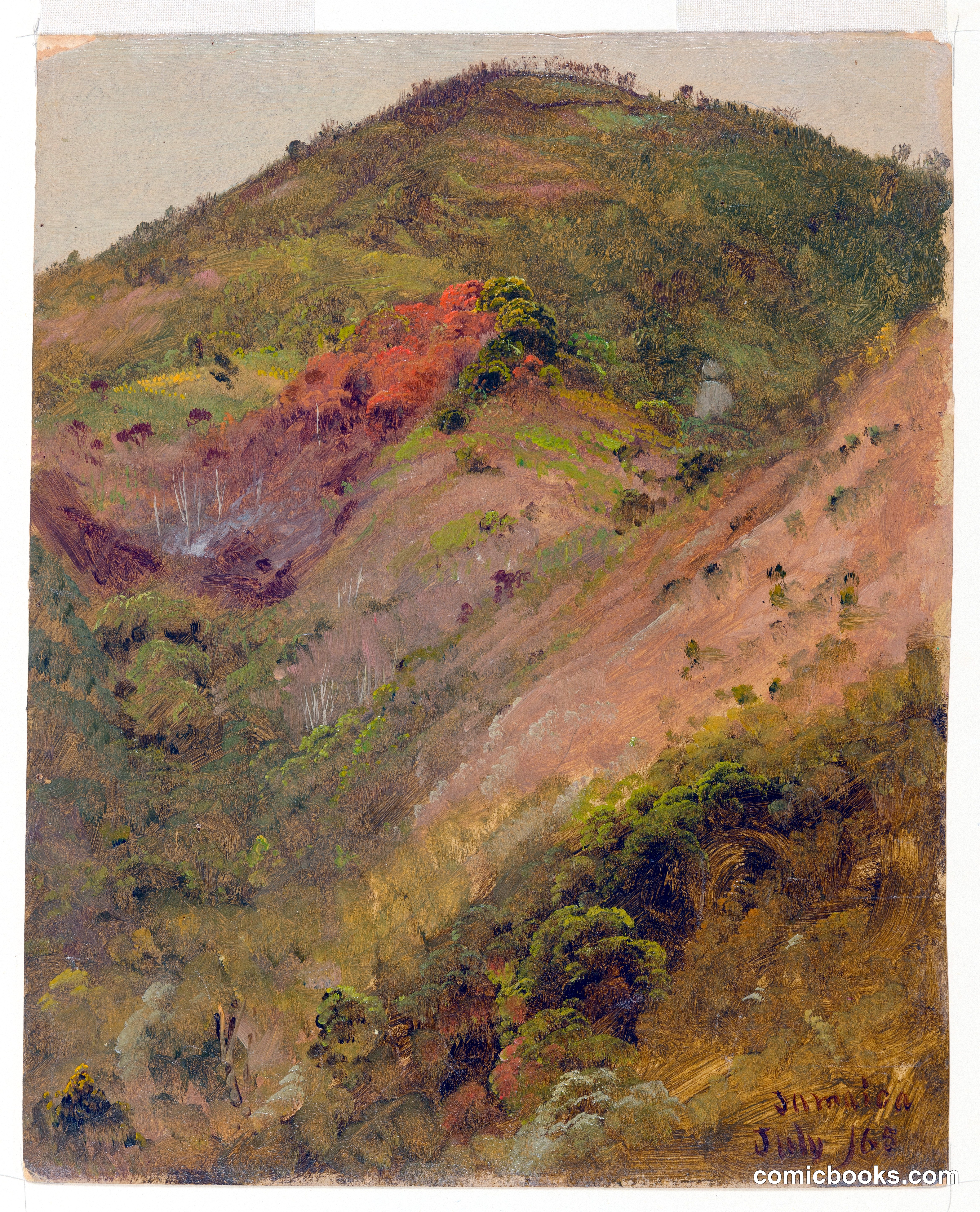 Steep Hillside, Jamaica
