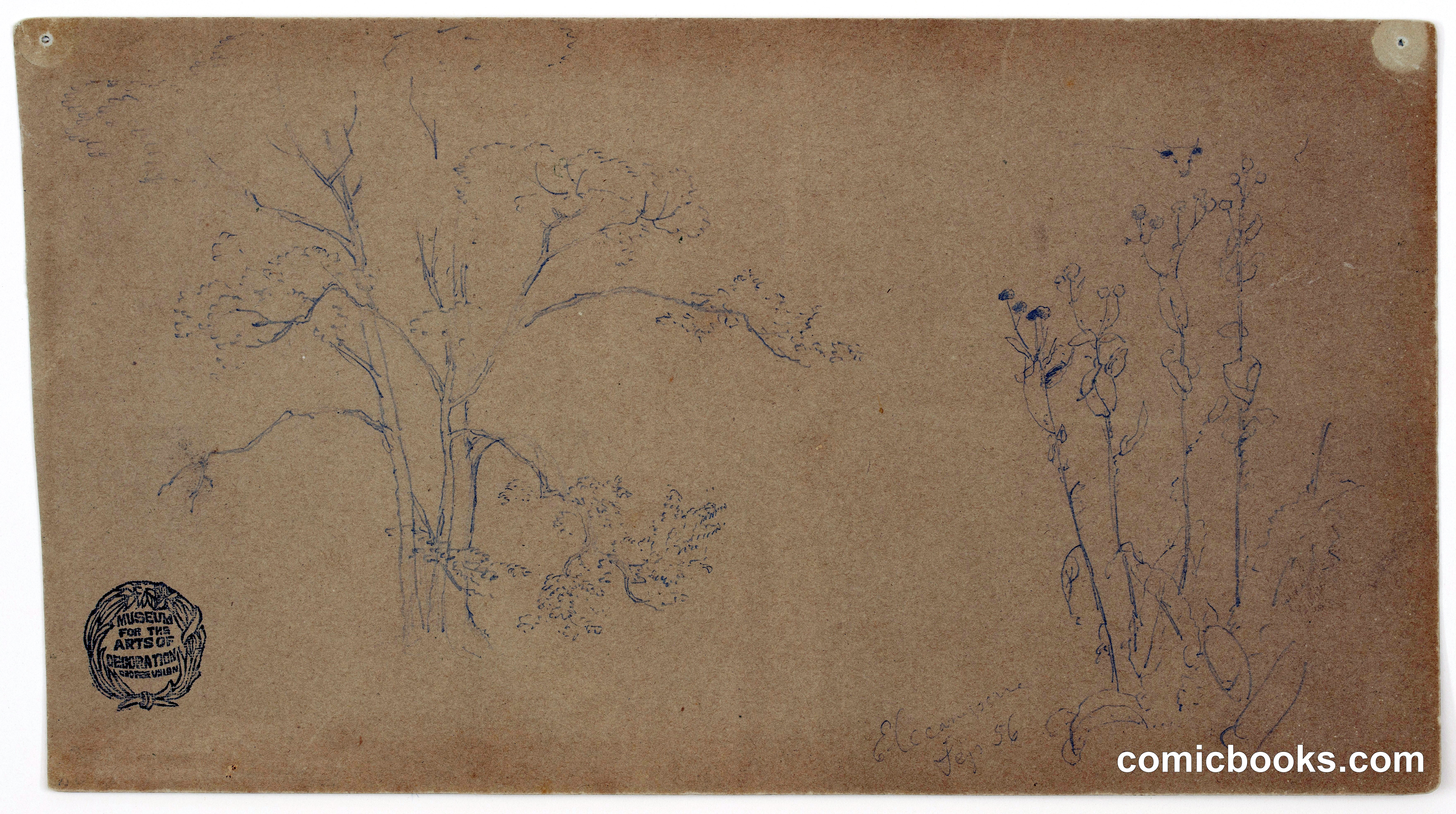 Sketches of a Tree and Elecampane Plant, Niagara Falls, New York