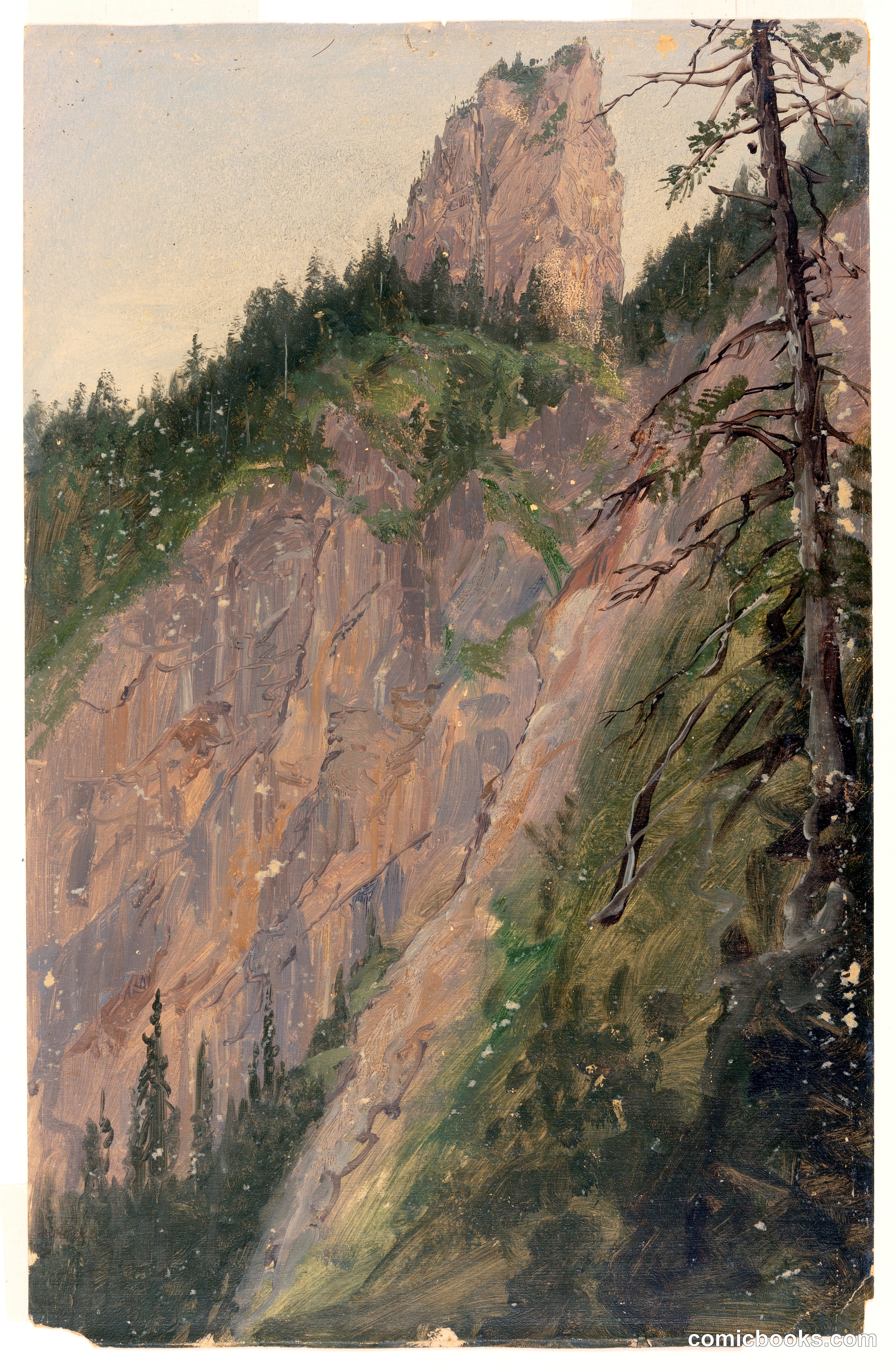 Alpine Landscape