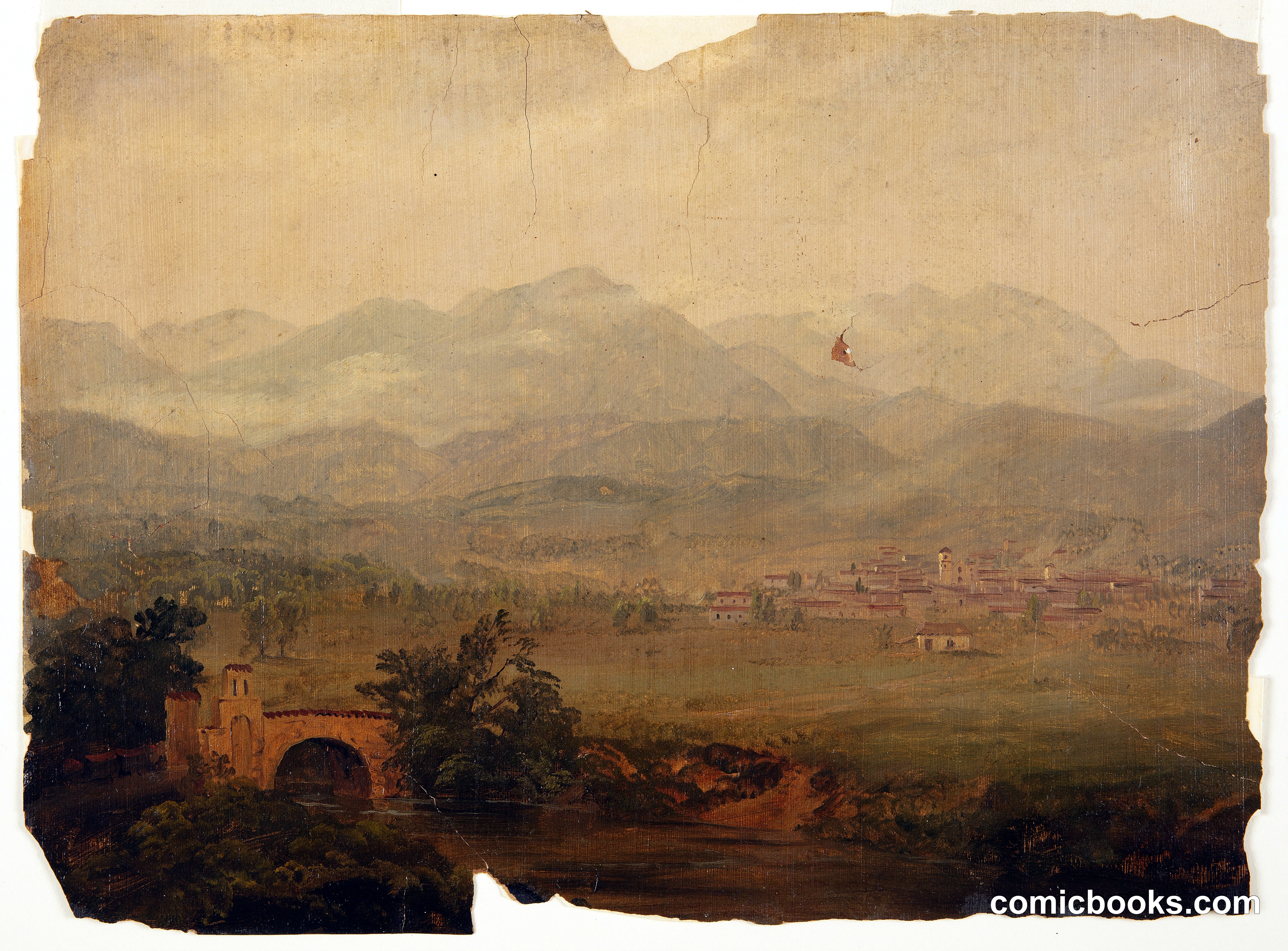 South American Landscape
