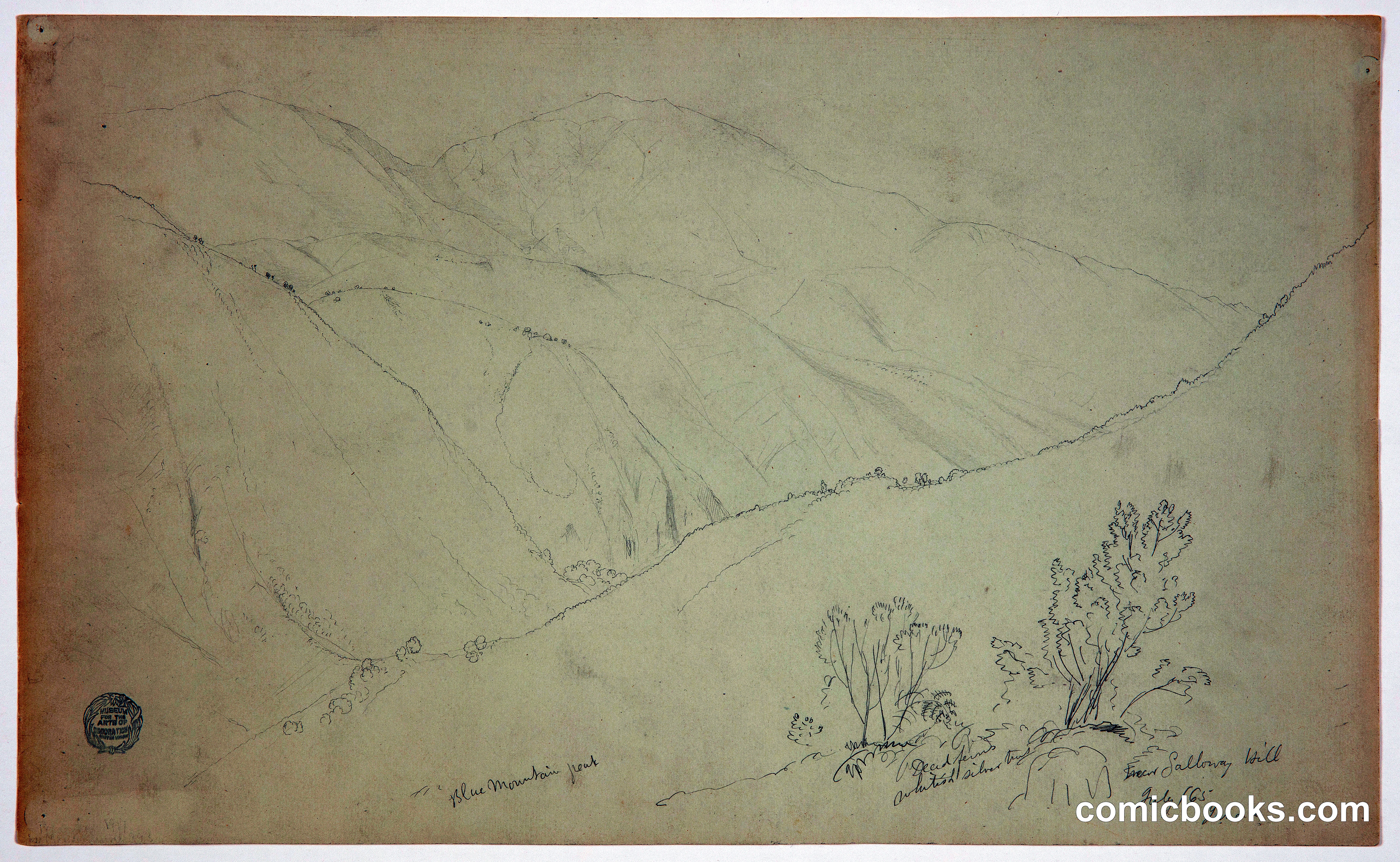 View of Blue Mountain Peak near Galloway Hill, Jamaica