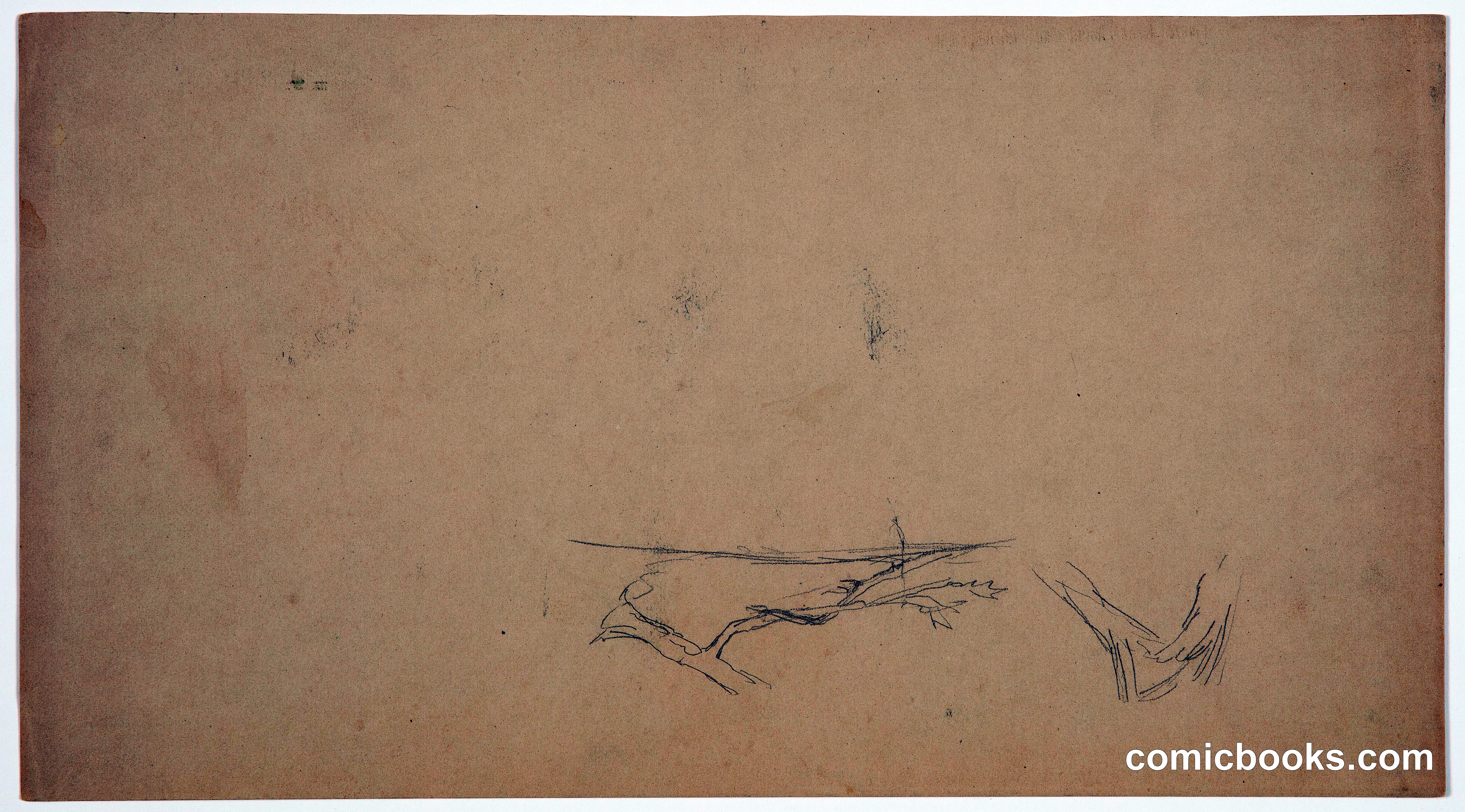 Study of Broken Tree Trunks
