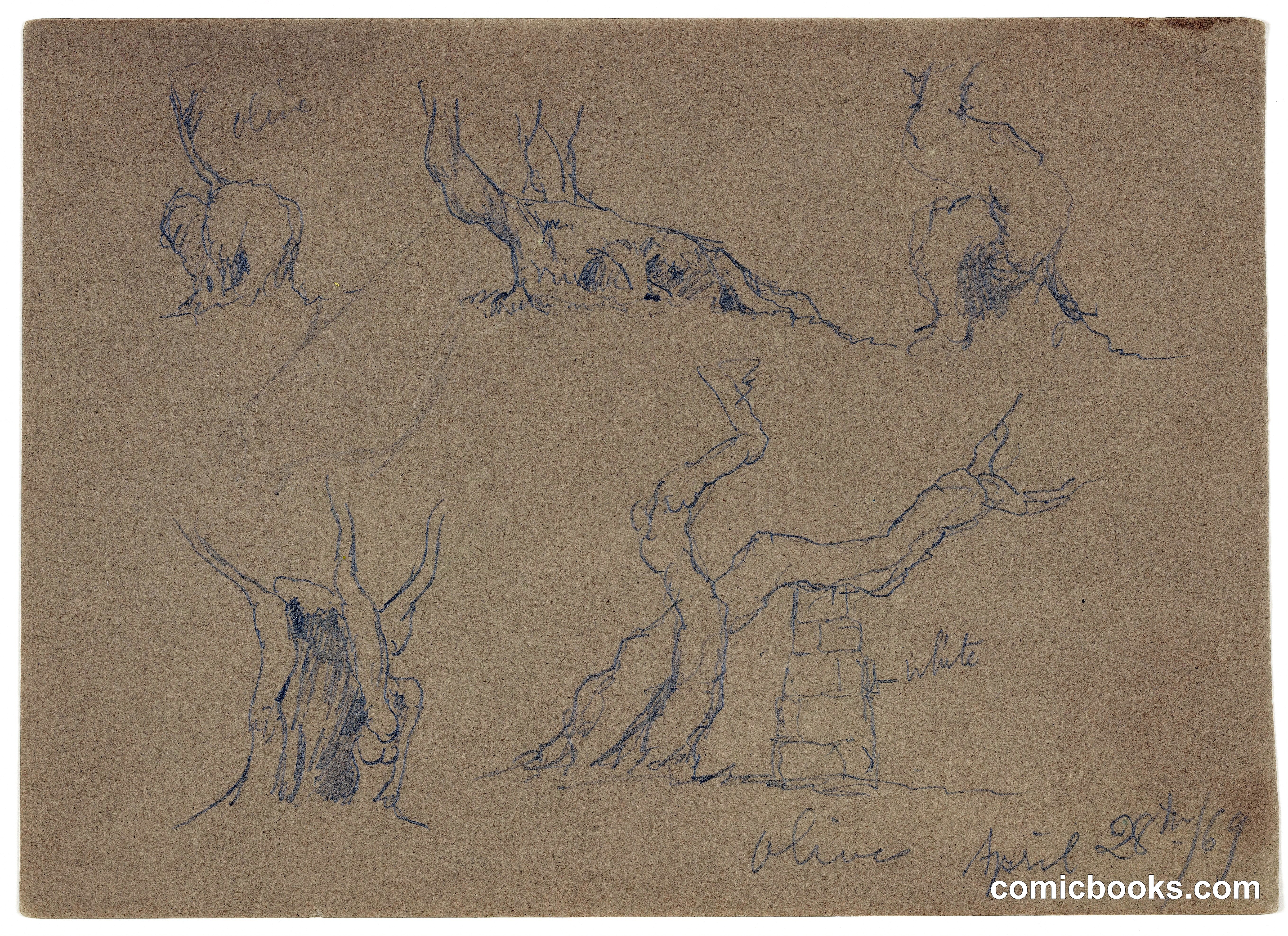 Study of Antelope and Deer