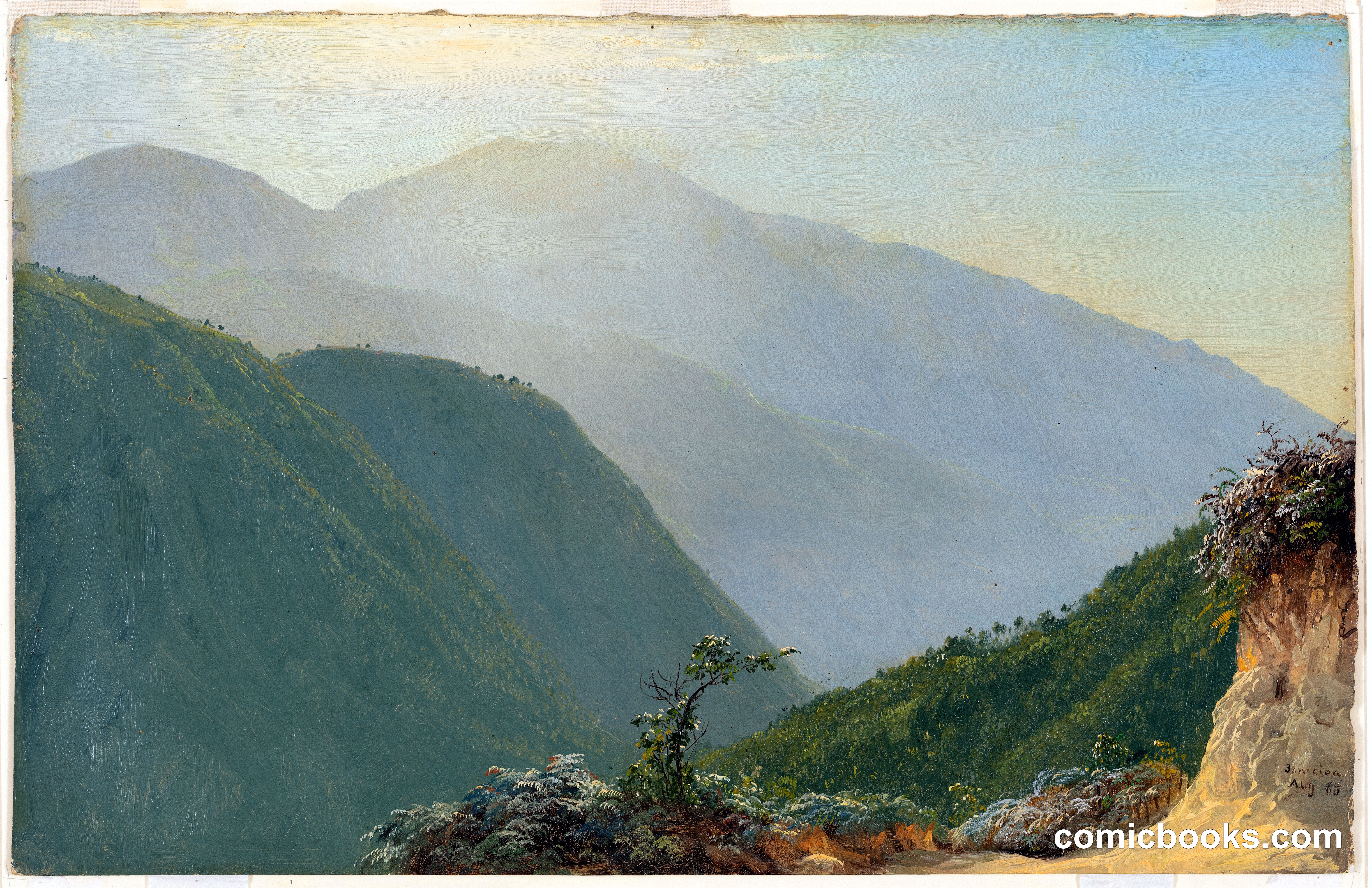 In the Blue Mountains, Jamaica