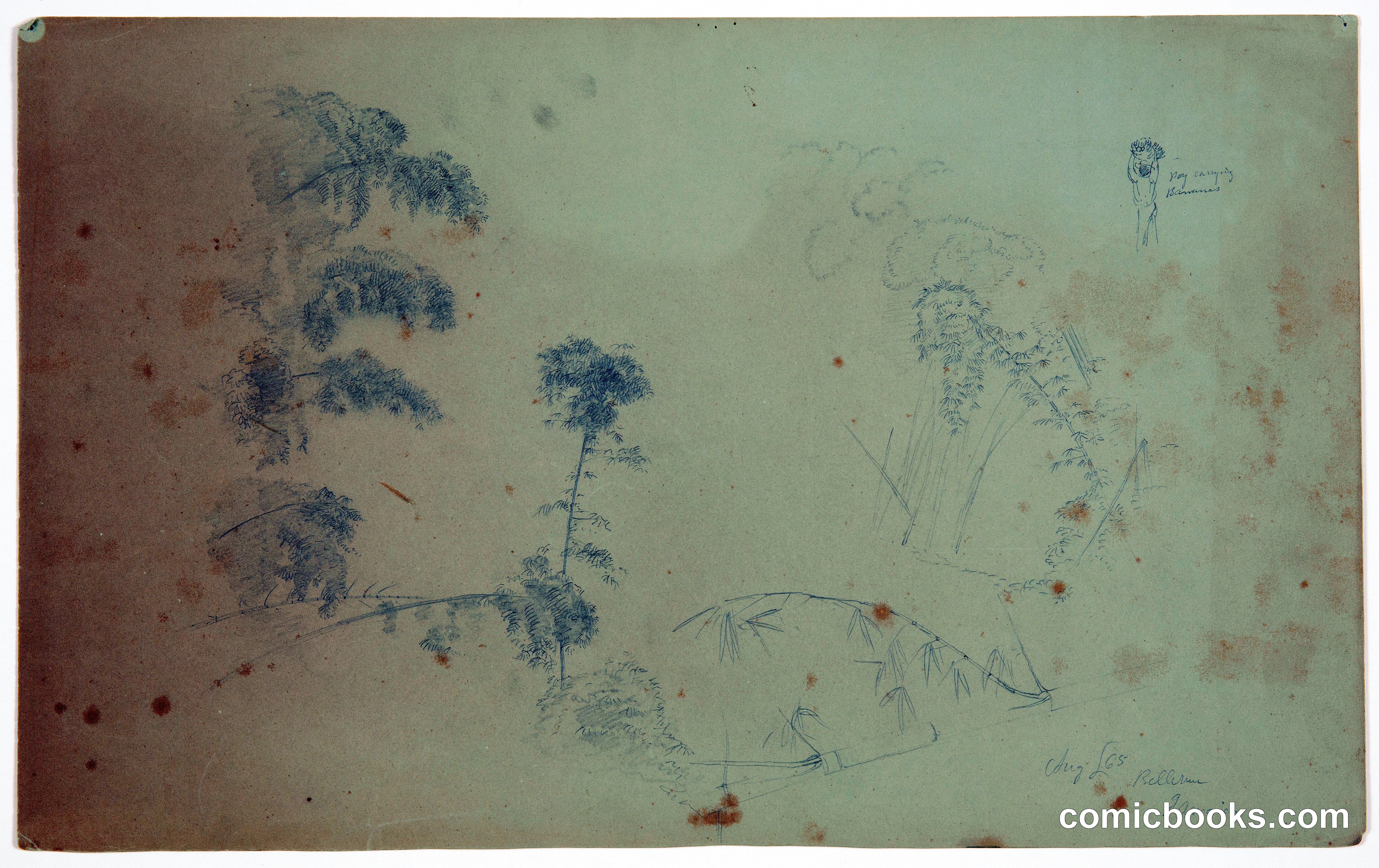 Bamboo Sketches, Bellevue, Jamaica