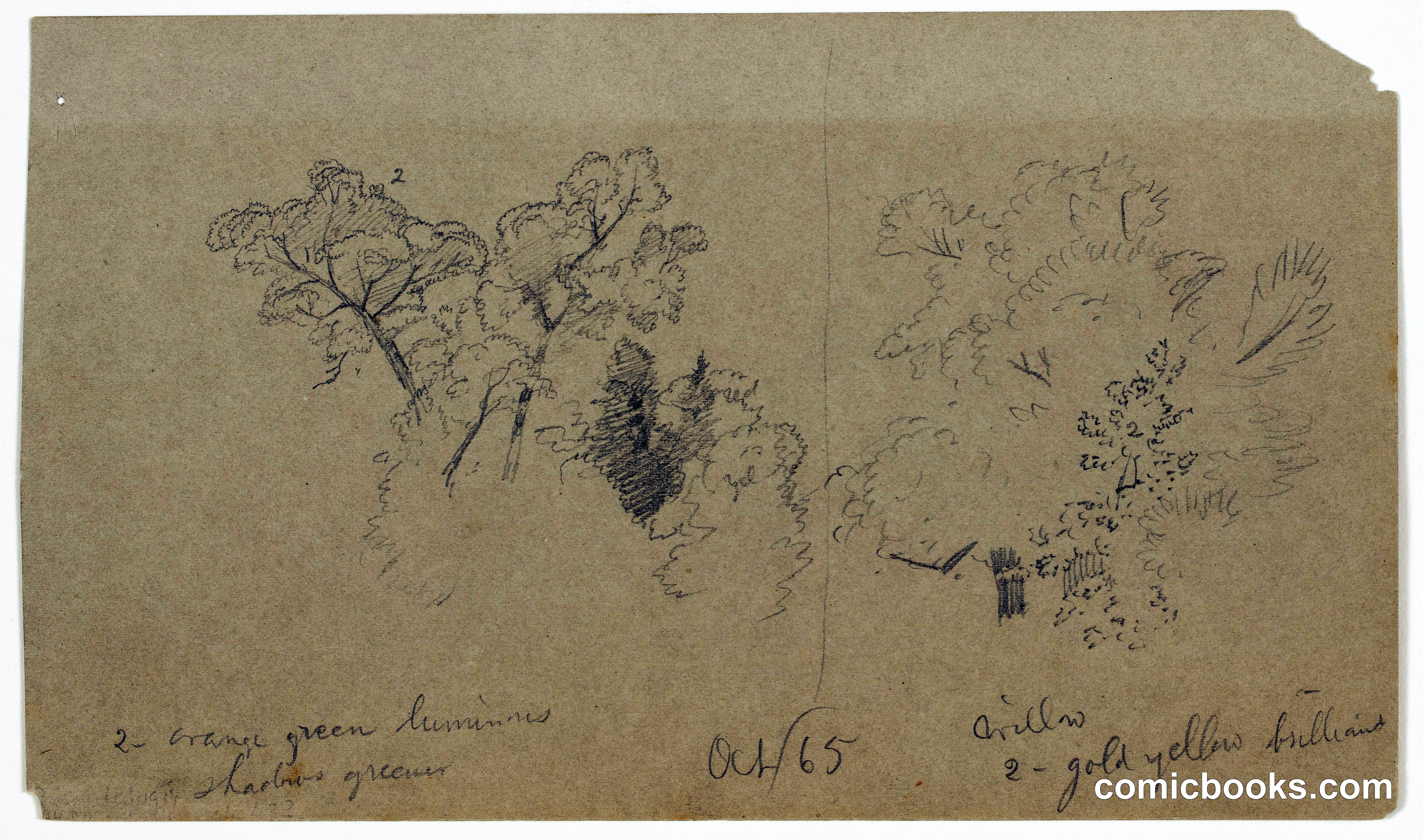 Tree Sketches, Vermont